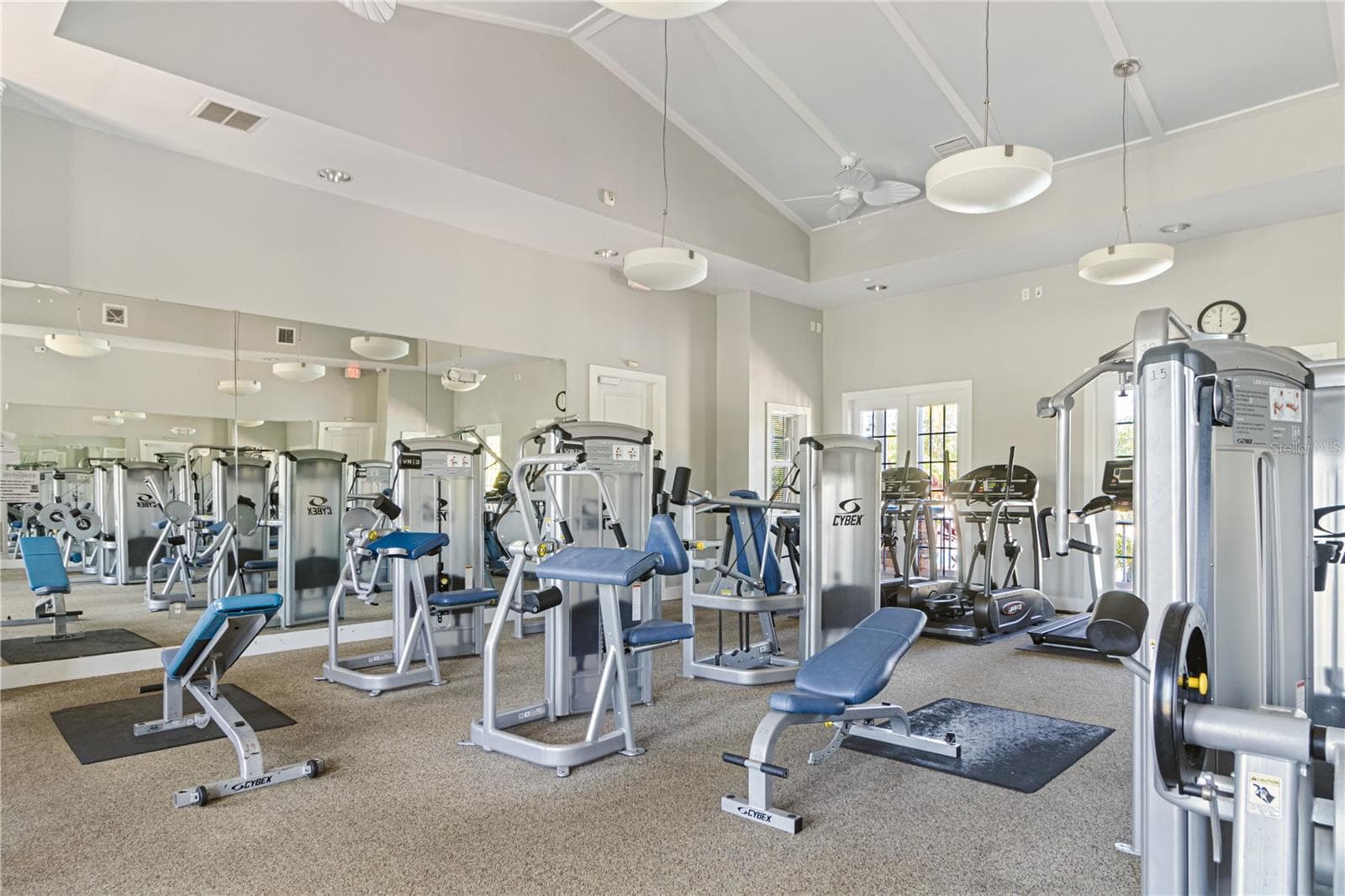 Gym - 3508 MAJESTIC VIEW DR, LUTZ
