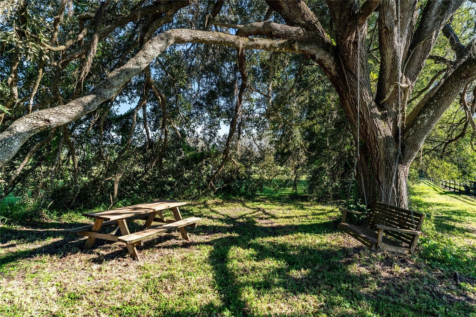 Swing and picnic area on property! - 32305 PASCO RD, SAN ANTONIO