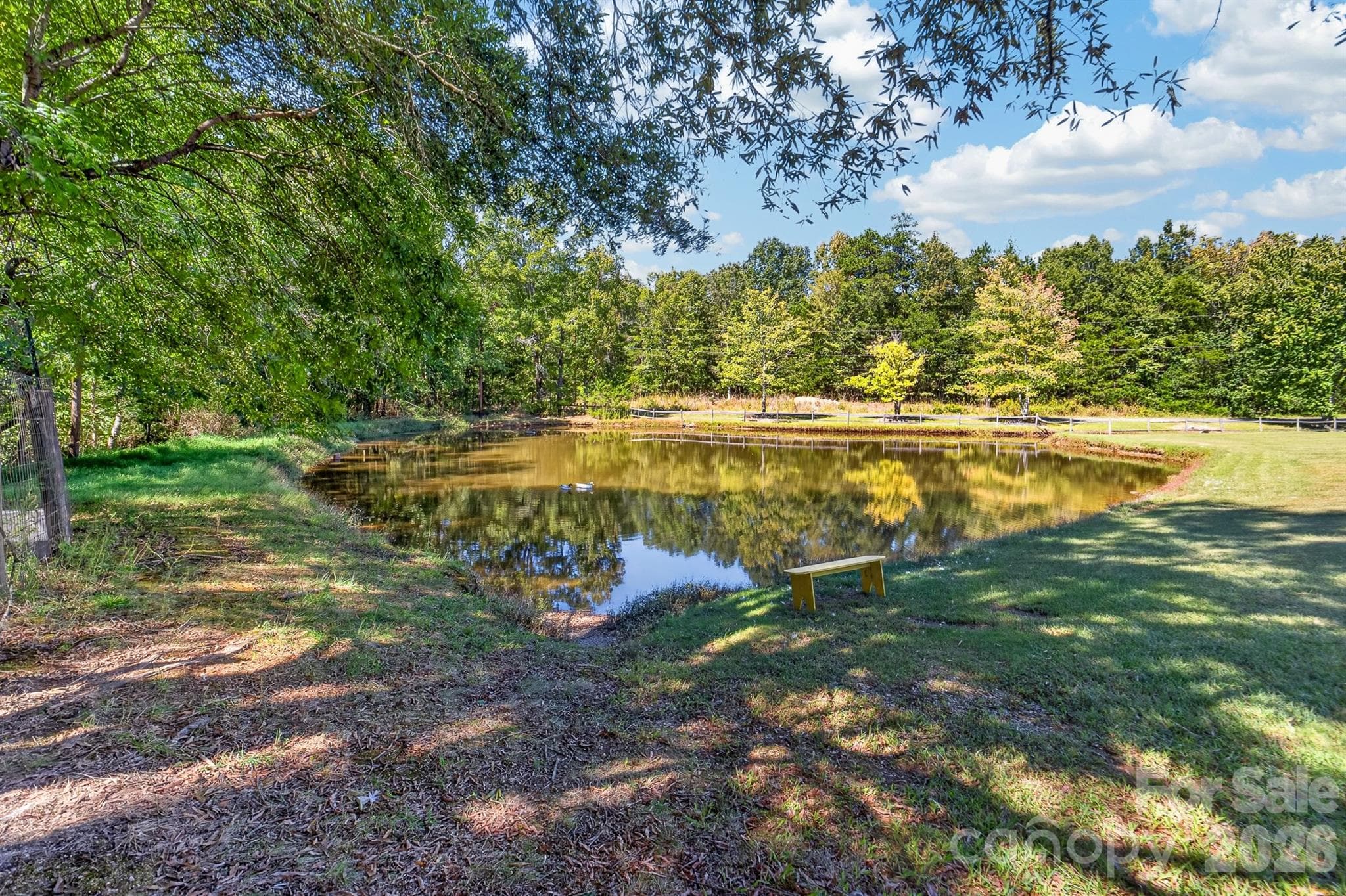 Stocked pond with ducks - 9702 Quail Cove Court, Indian Trail