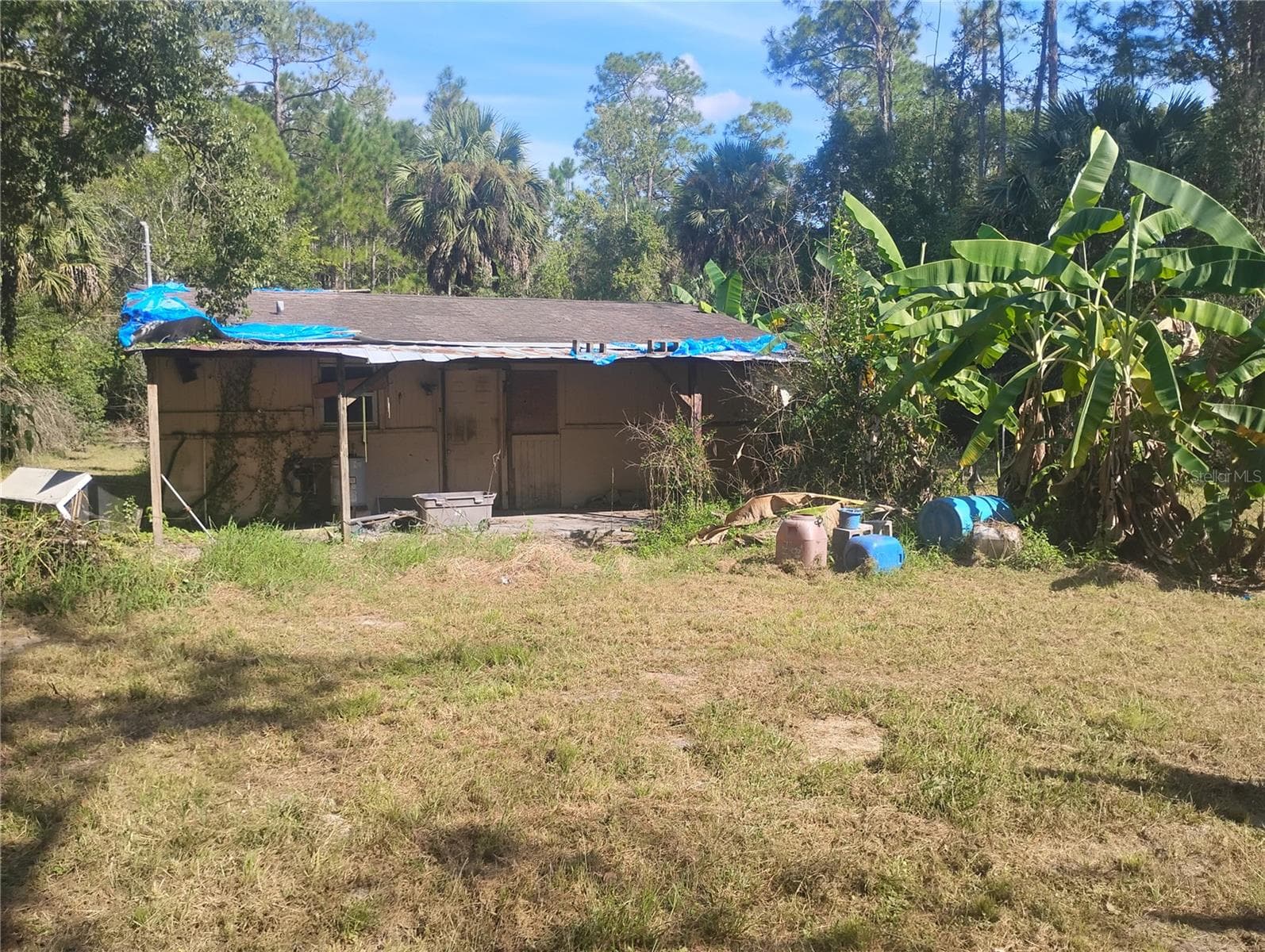 Single Family Residence at 43907 MARIE AVE, DELAND, photo 6 of 8