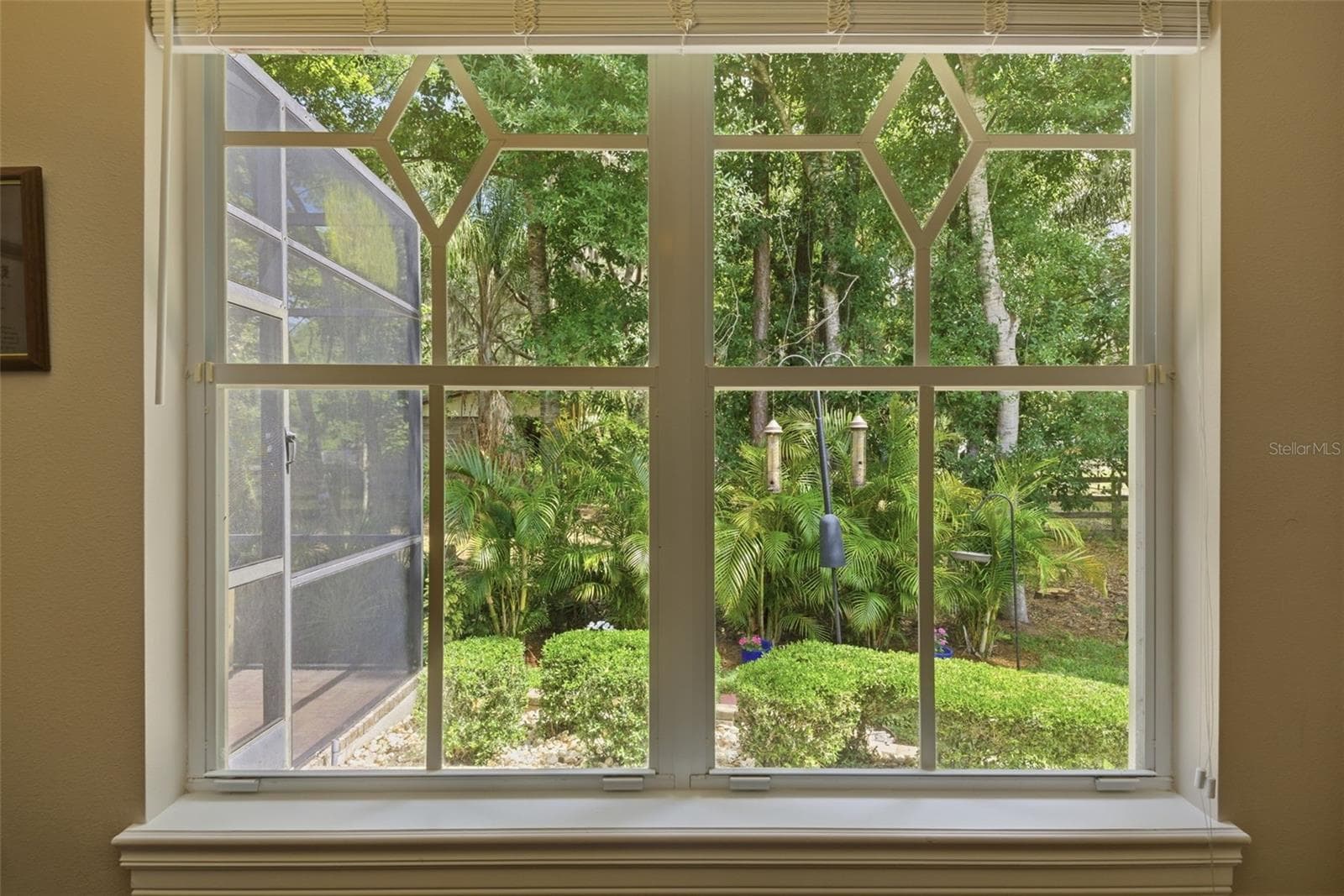 View out the 4th bedroom window - 2887 GREY OAKS BLVD, TARPON SPRINGS