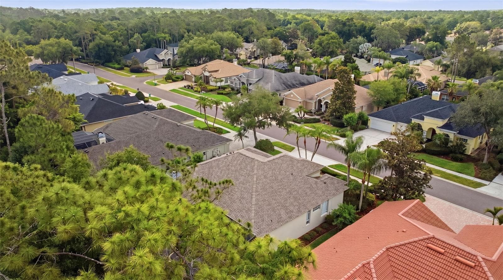 Single Family Residence at 2887 GREY OAKS BLVD, TARPON SPRINGS, photo 61 of 73