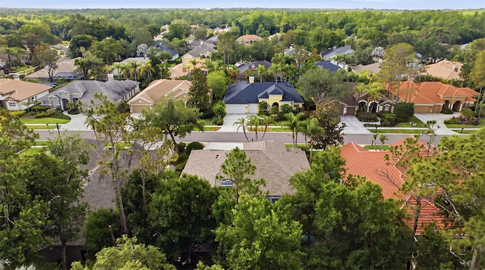 Single Family Residence at 2887 GREY OAKS BLVD, TARPON SPRINGS, photo 62 of 73