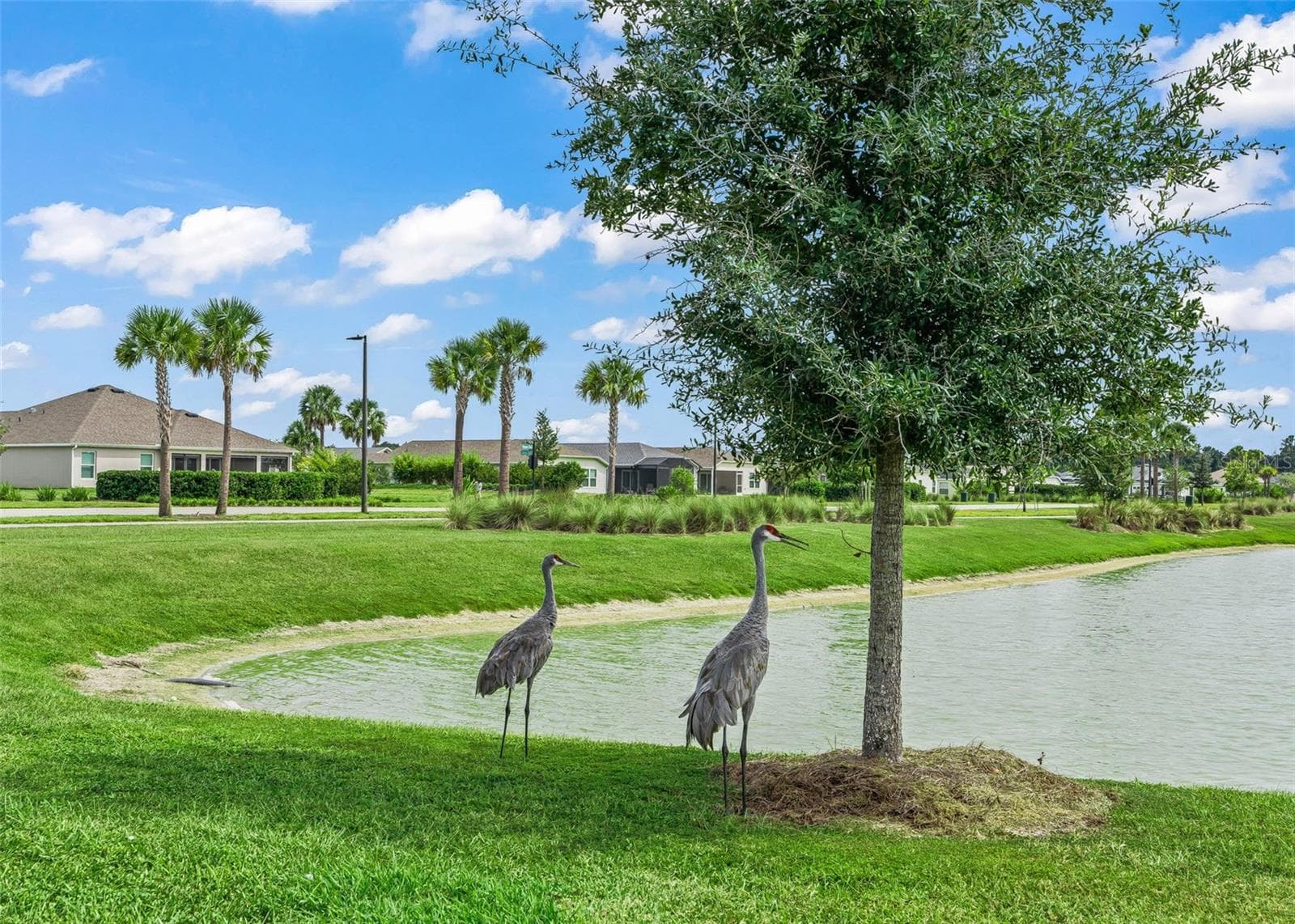 Single Family Residence at 1864 KEEL CT, THE VILLAGES, photo 79 of 91