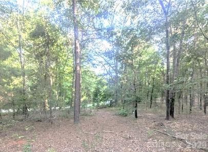 Cleared area - Rock Hill
