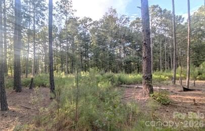Acreage at Rock Hill, photo 4 of 16