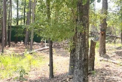 Box trailer - Rock Hill