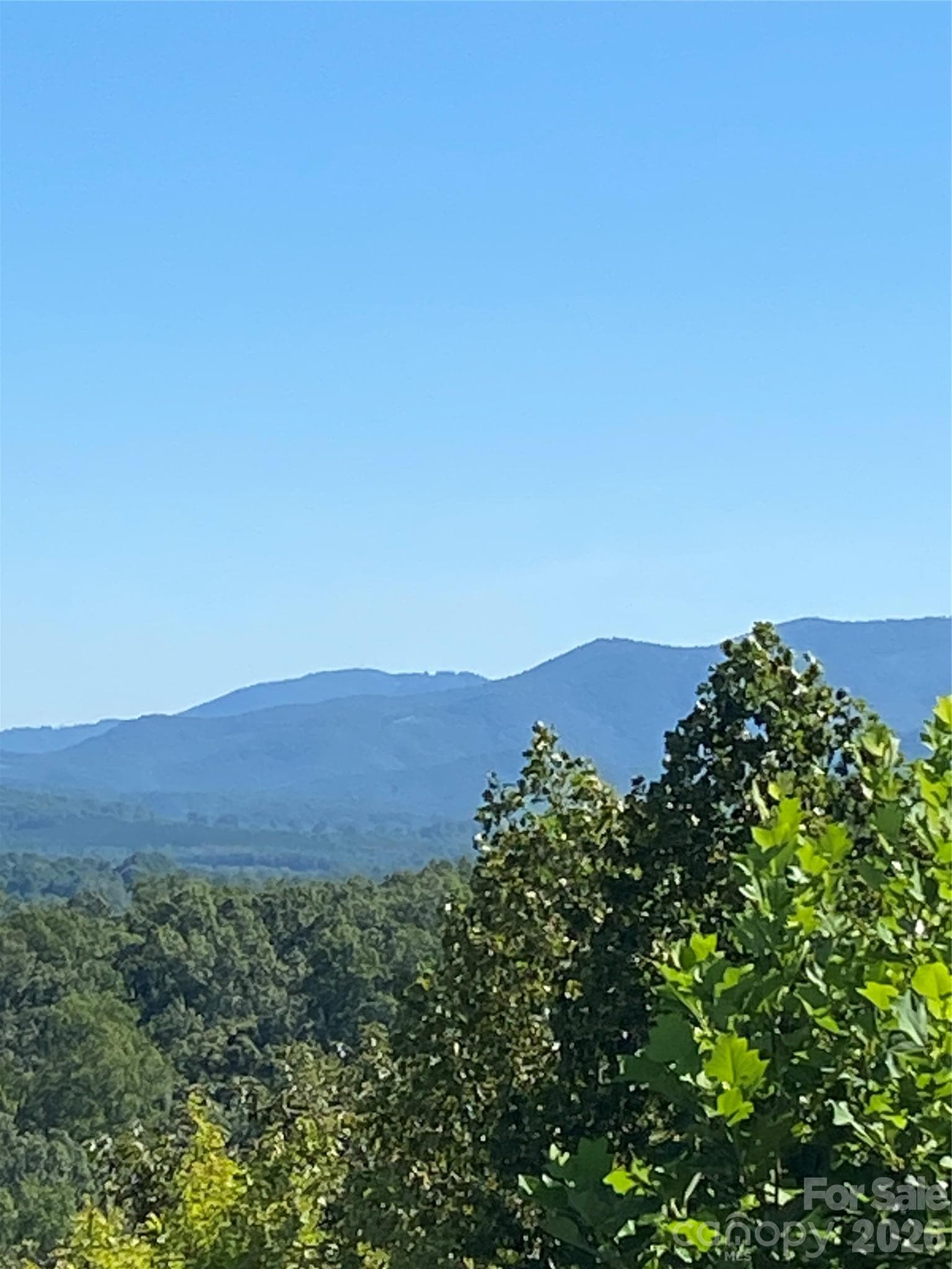 Lot 51 Ridgecrest Drive