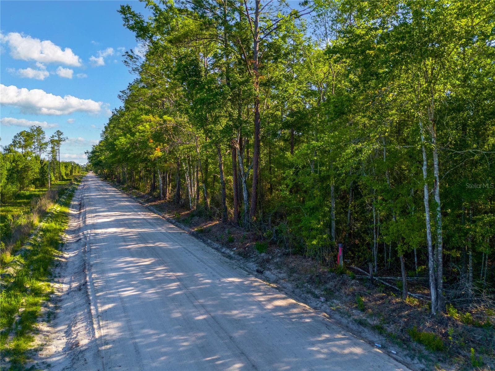 Land at SW 126TH AVE, LAKE BUTLER, photo 8 of 8