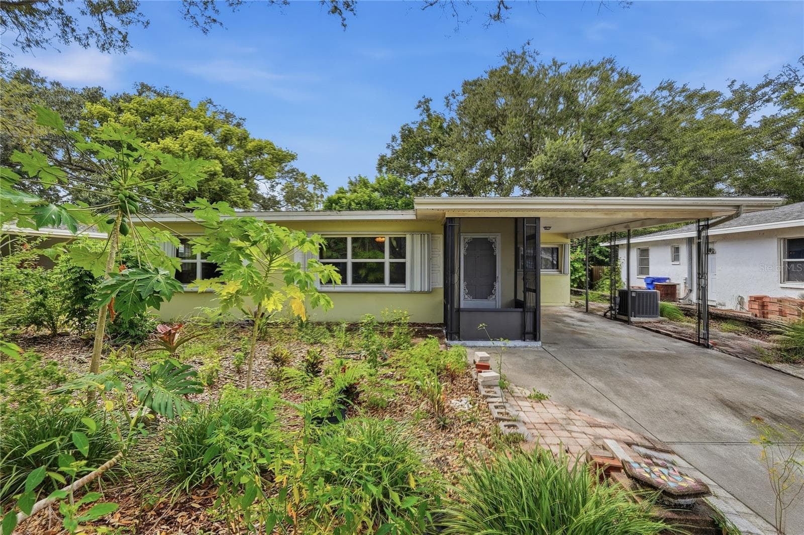 1632 SAN MATEO DR