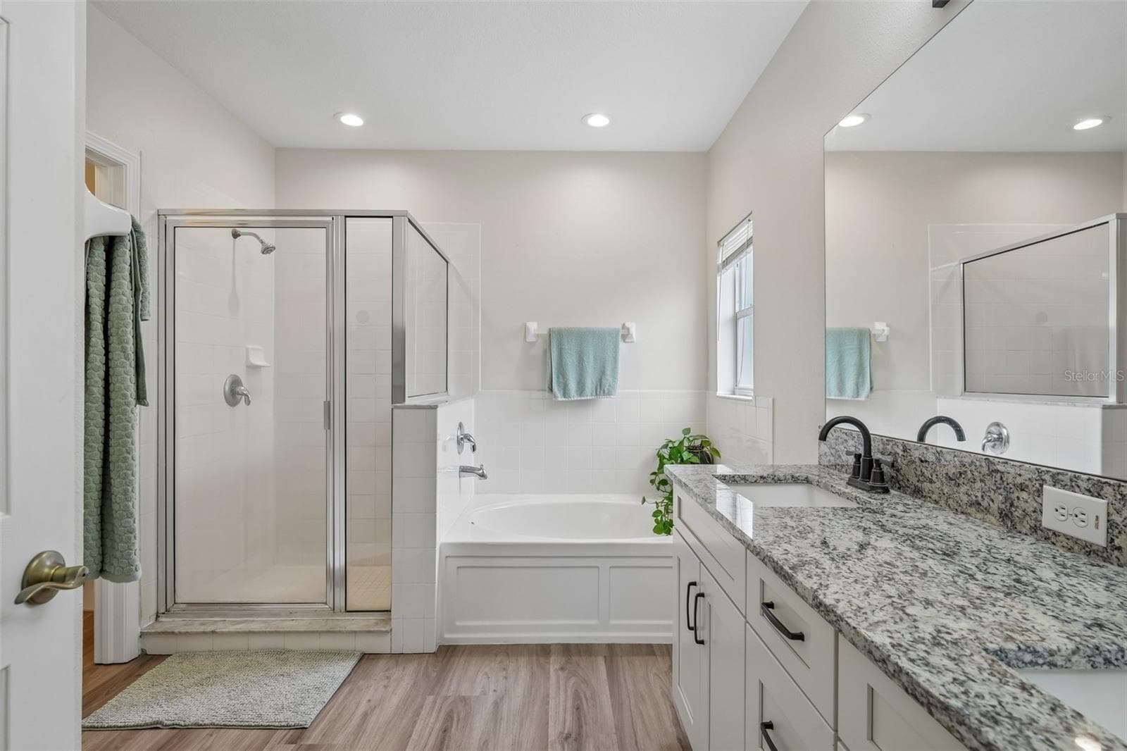 Single Family Residence at 6527 BRIDGECREST DR, LITHIA, photo 18 of 36