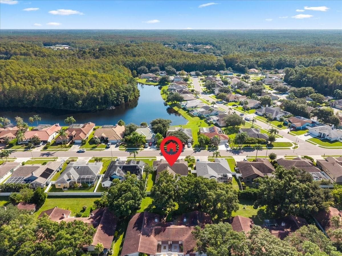 Aerial View - 2656 SADDLEWOOD LN, PALM HARBOR
