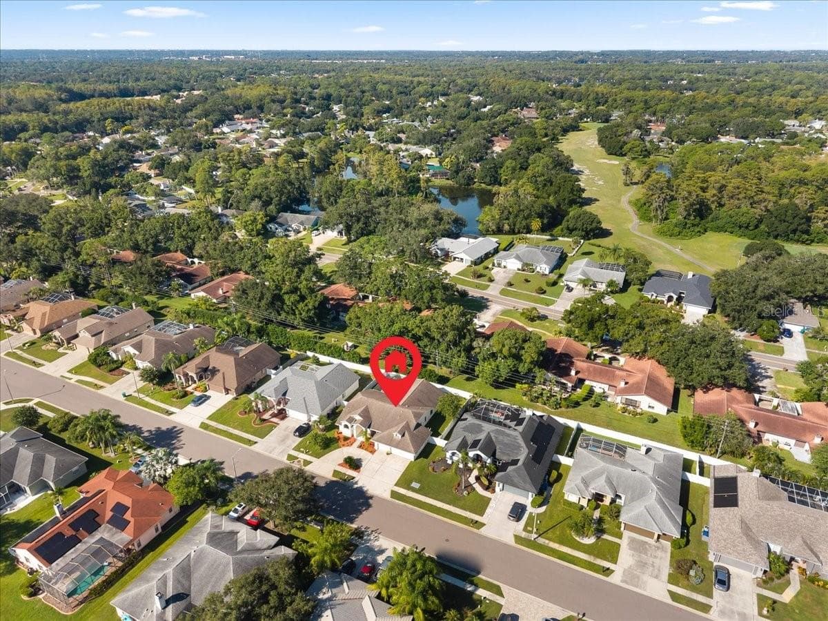 Community Aerial - 2656 SADDLEWOOD LN, PALM HARBOR