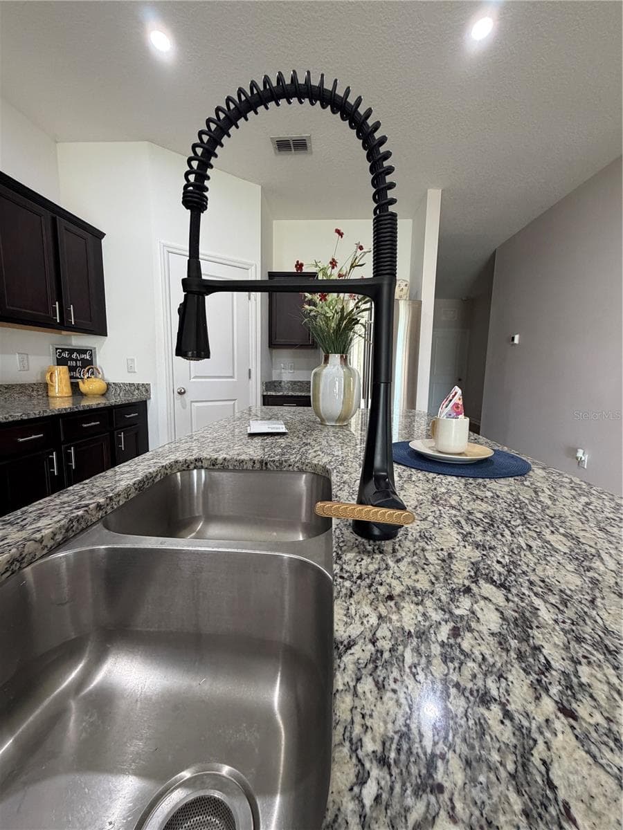 Upgraded industrial faucet and double stainless steel sink custom set in the granite island - 1261 ANCHOR BEND DR, RUSKIN