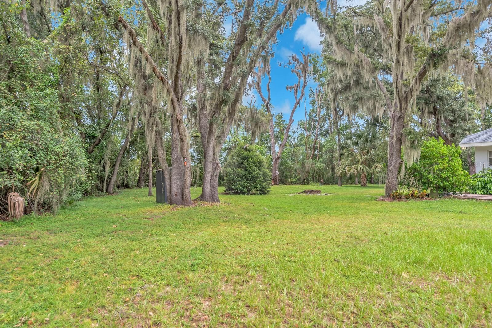Single Family Residence at 6034 HAMMOCK HILL AVE, LITHIA, photo 54 of 60
