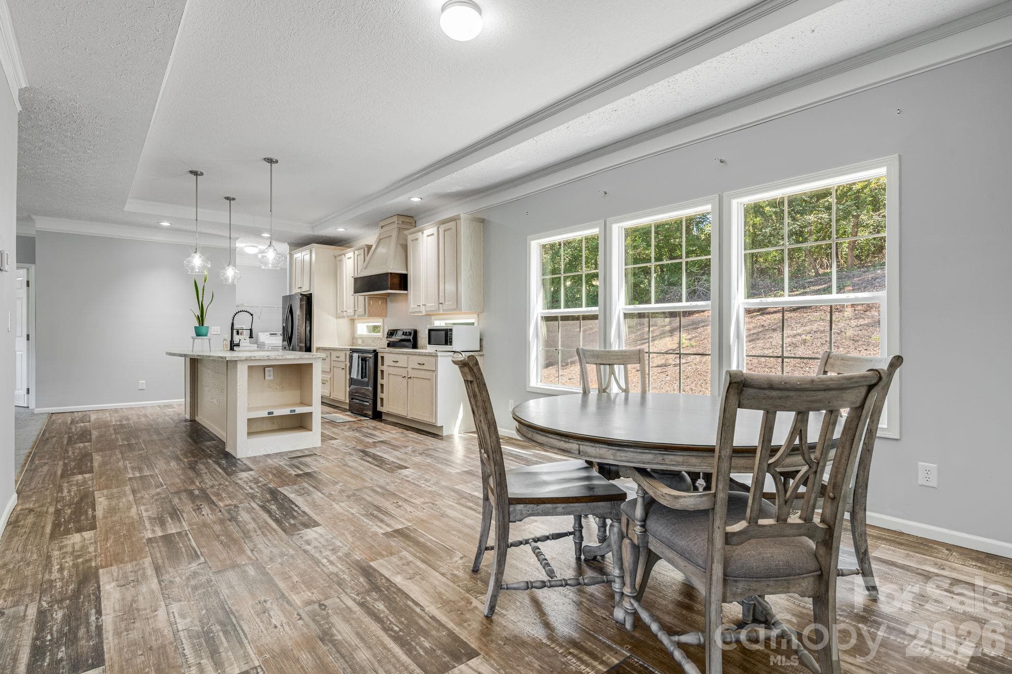 Single Family Residence at 245 Potato Branch Road, Leicester, photo 13 of 35