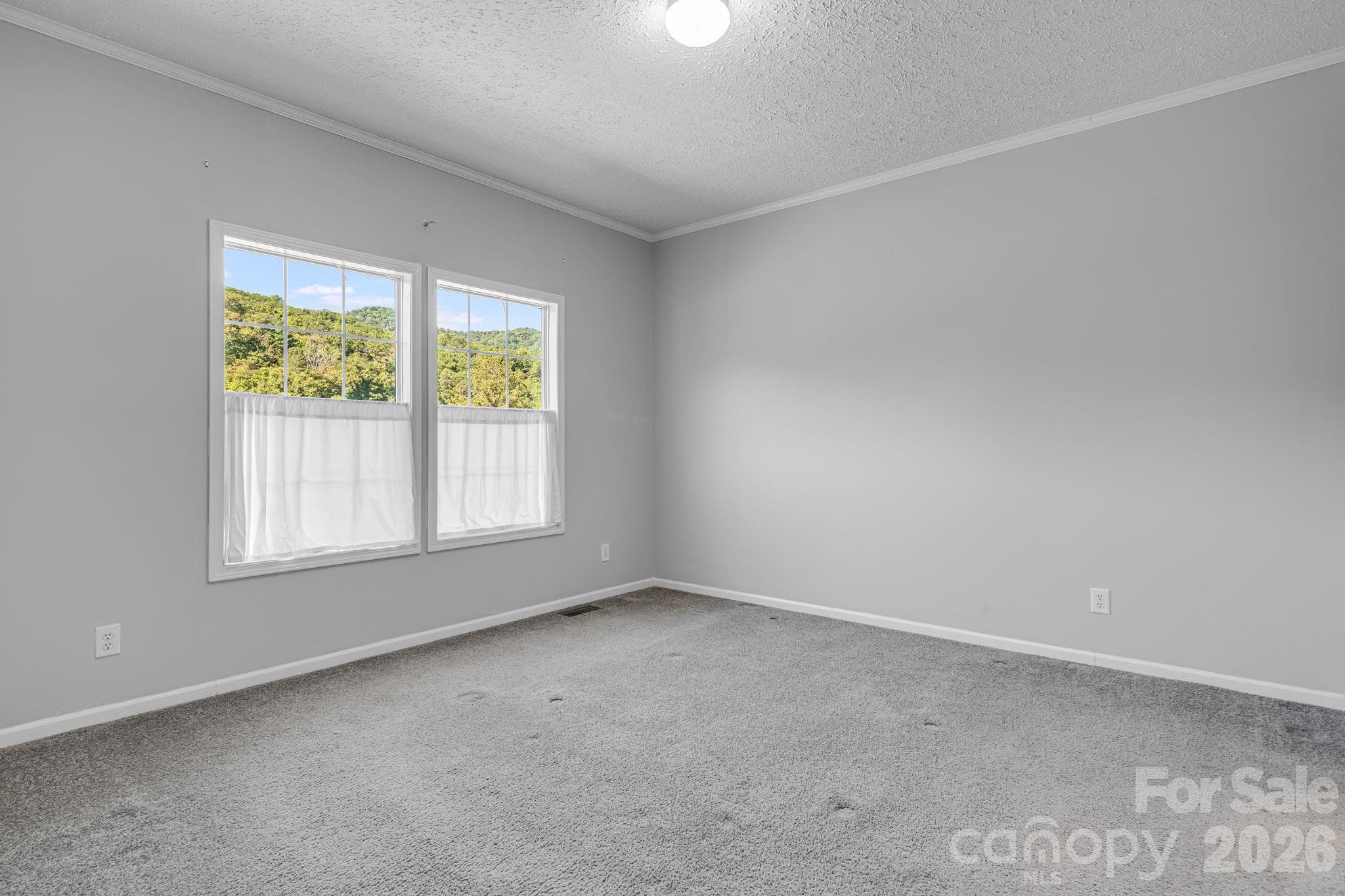 Single Family Residence at 245 Potato Branch Road, Leicester, photo 19 of 35