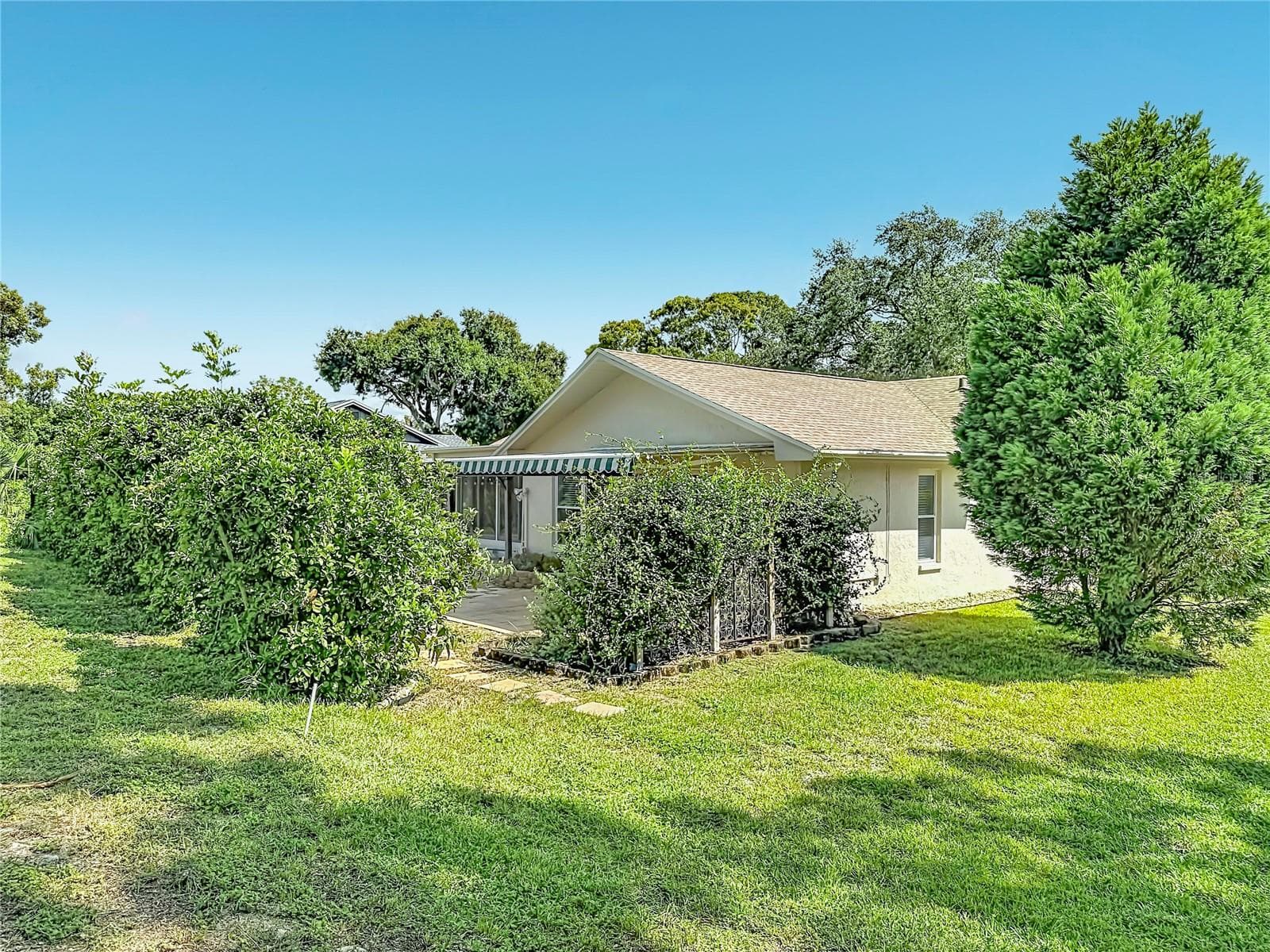 Rear Green Space - 2632 CAMILLE DR, PALM HARBOR