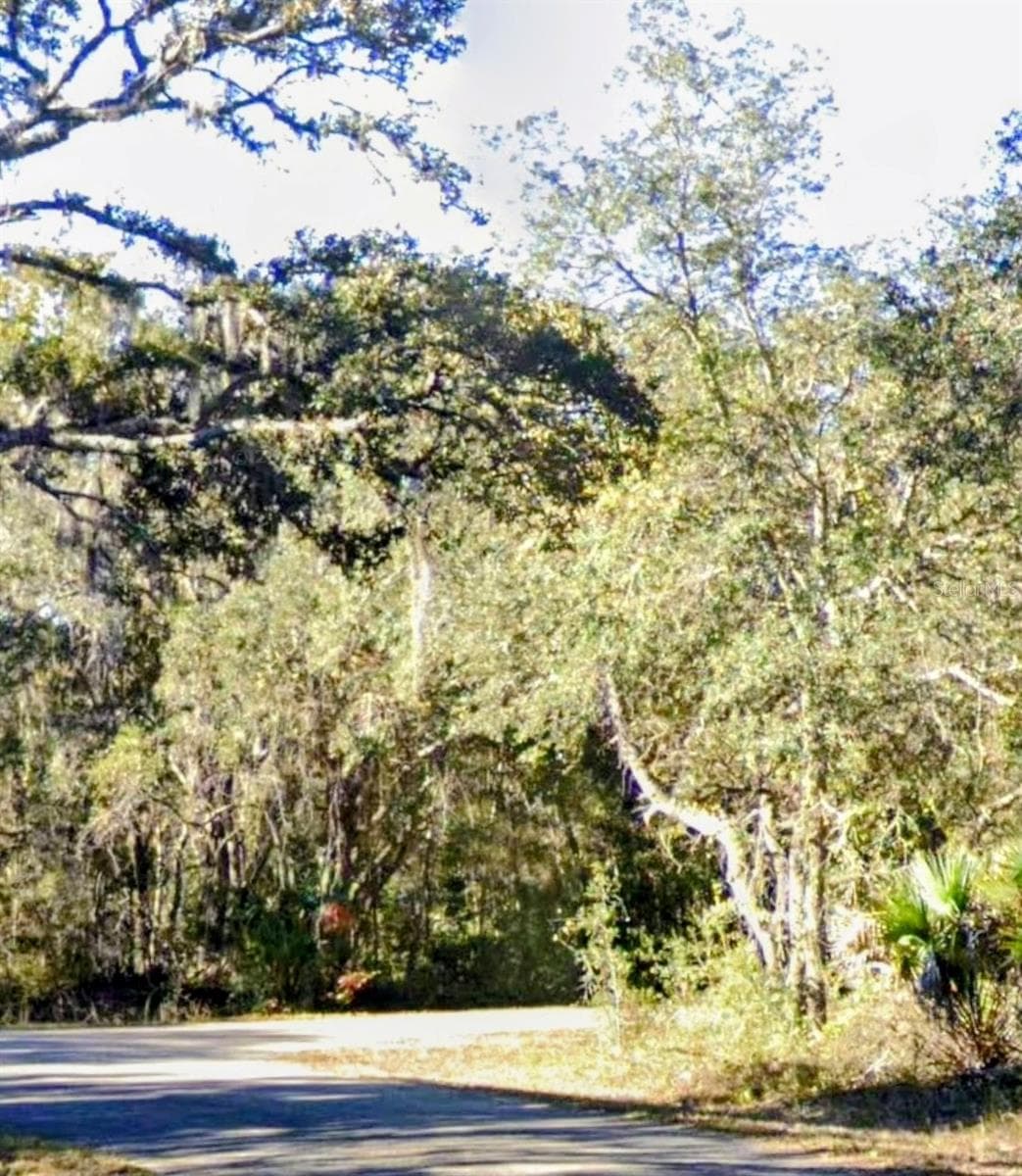 Land at LOT 15 FISHER LN WAY, OCKLAWAHA, photo 4 of 5