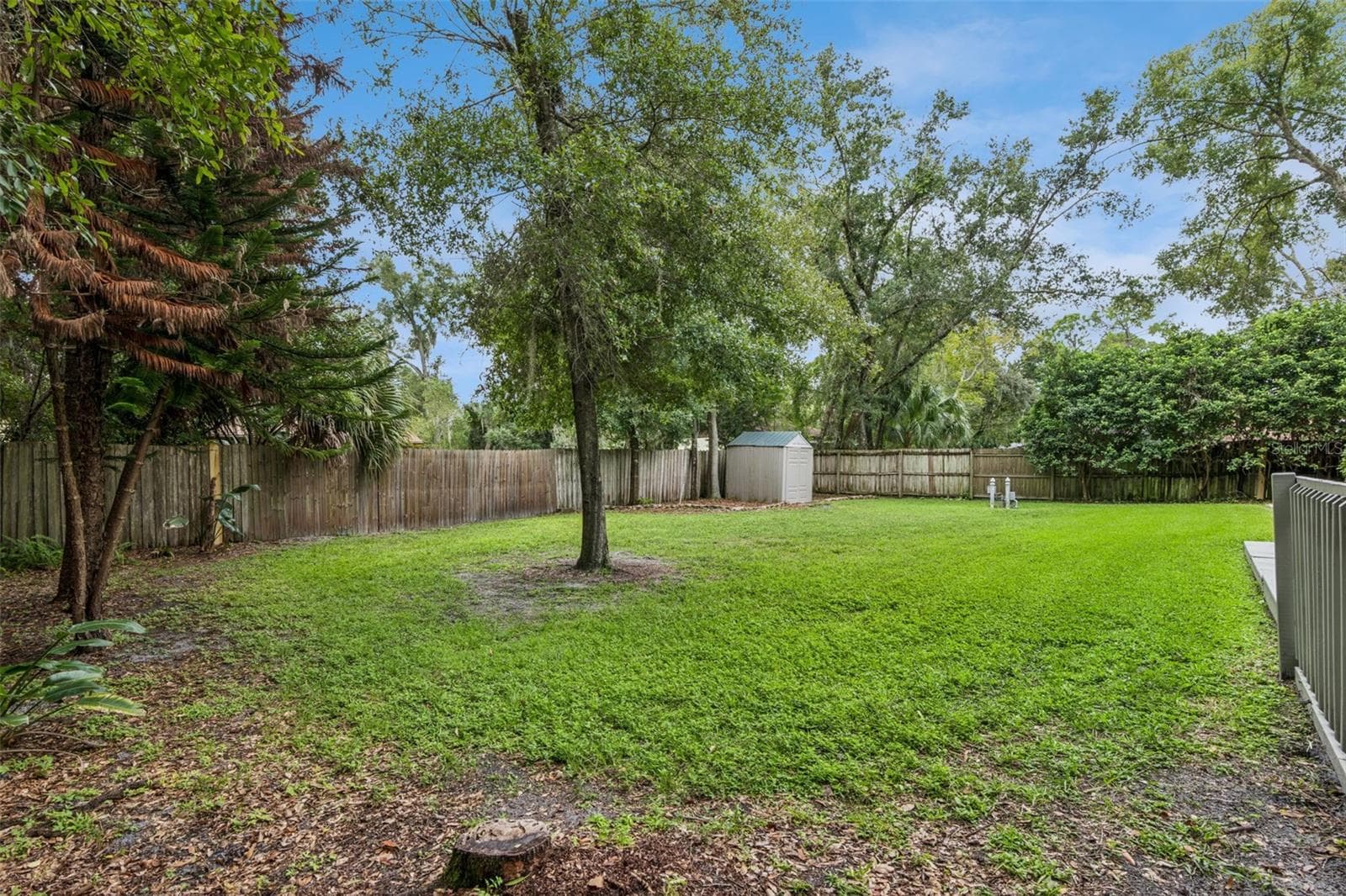 Back Yard - 1521 FRANCES DR, APOPKA