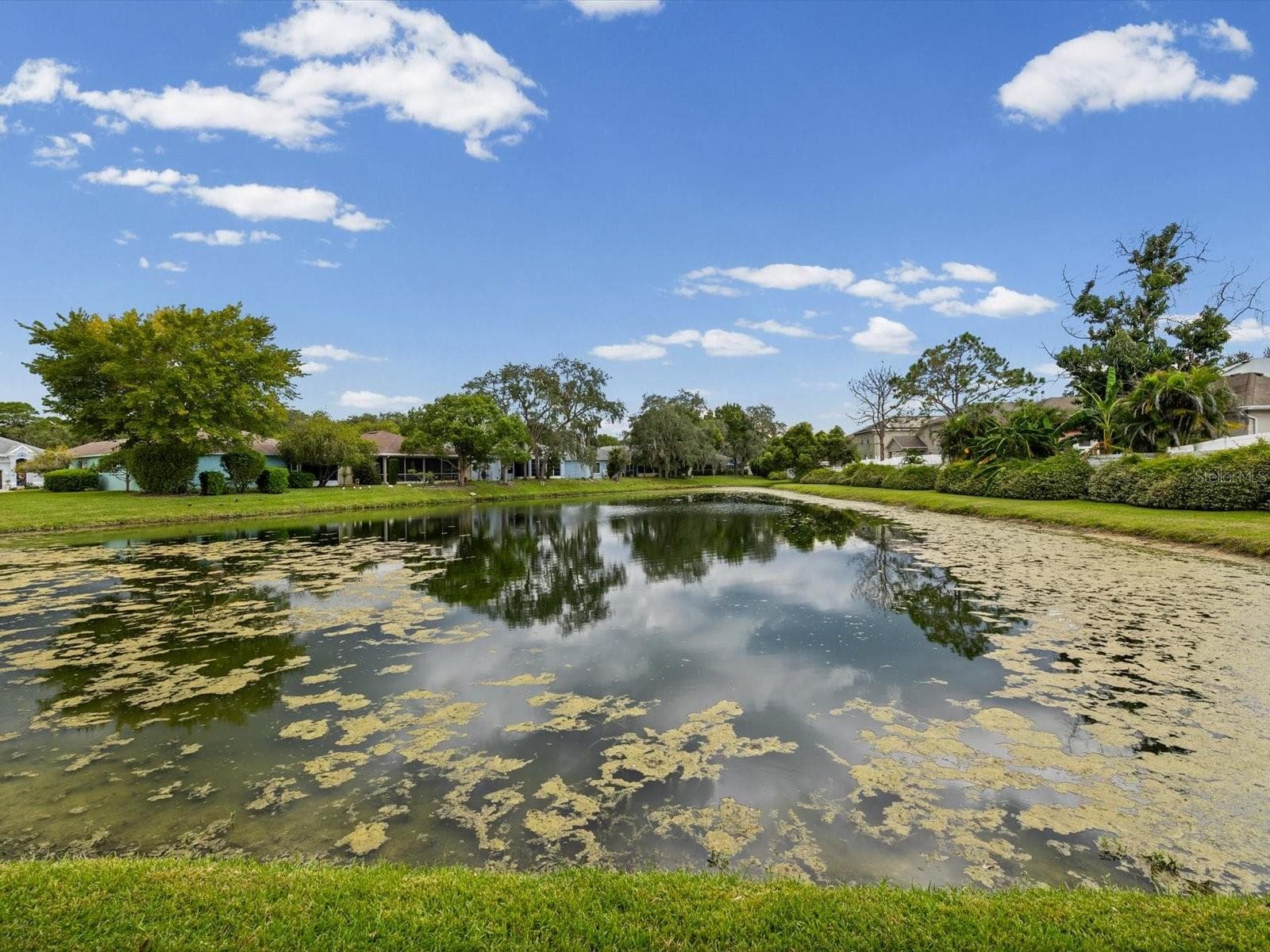 Single Family Residence at 11829 IVYWOOD PL, NEW PORT RICHEY, photo 46 of 73