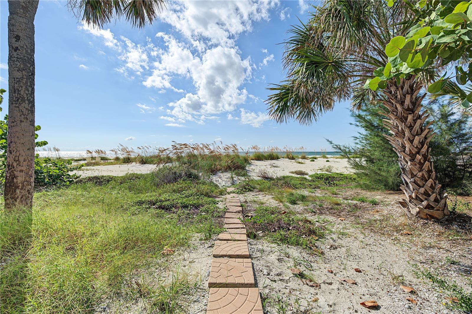 Single Family Residence at 956 ELDORADO AVE, CLEARWATER, photo 60 of 80