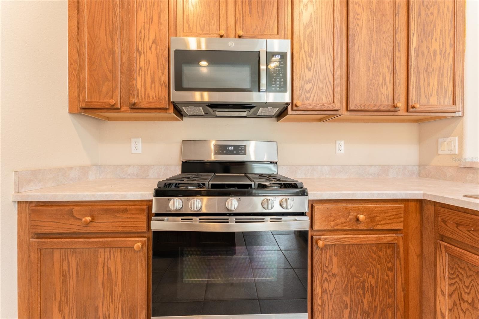 New SS appliances - 6302 BRIDGEVISTA DR, LITHIA