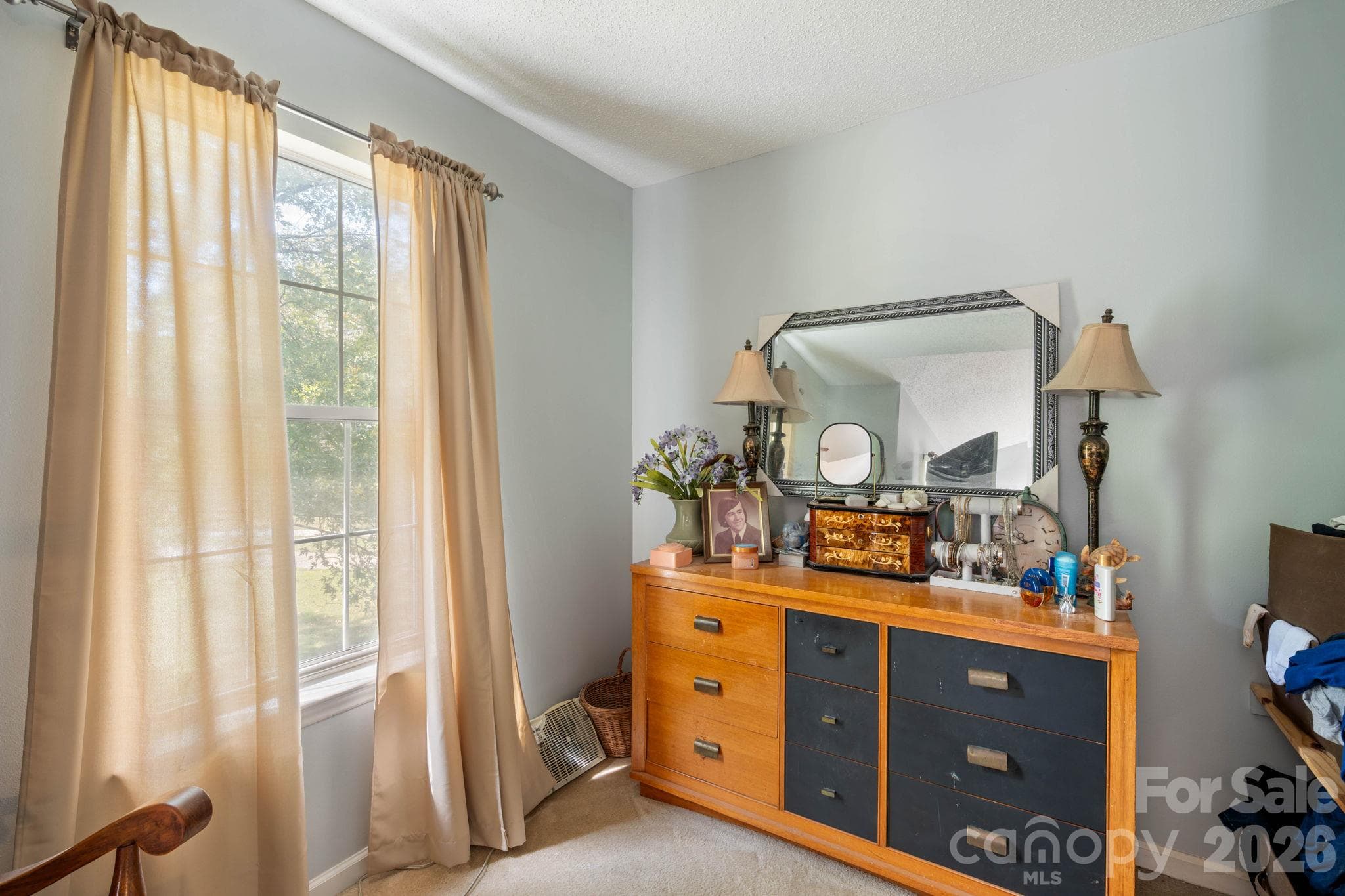 Single Family Residence at 1300 Sugar Hollow Drive, Charlotte, photo 15 of 28