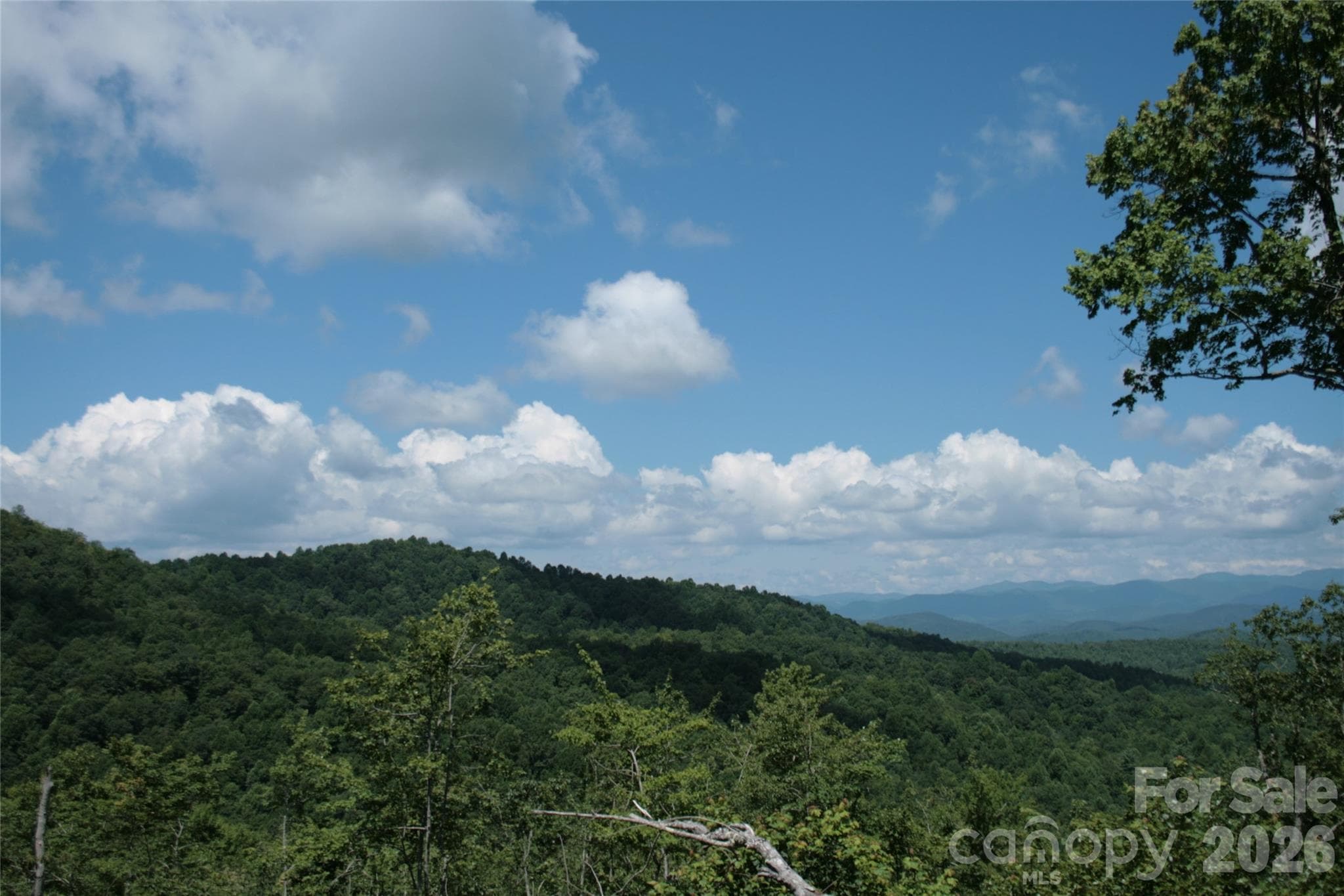 Acreage at TBD Nancy Mountain Road, Rosman, photo 38 of 44