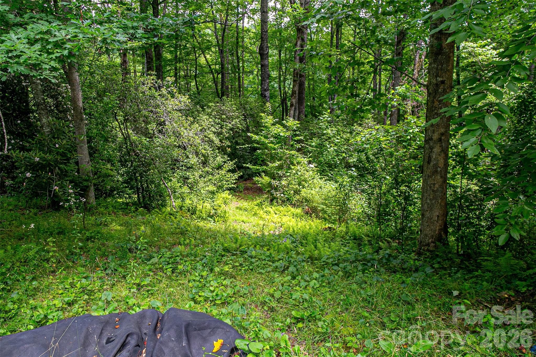 Single Family Residence at 164 Horseplay Lane, Lake Toxaway, photo 3 of 14