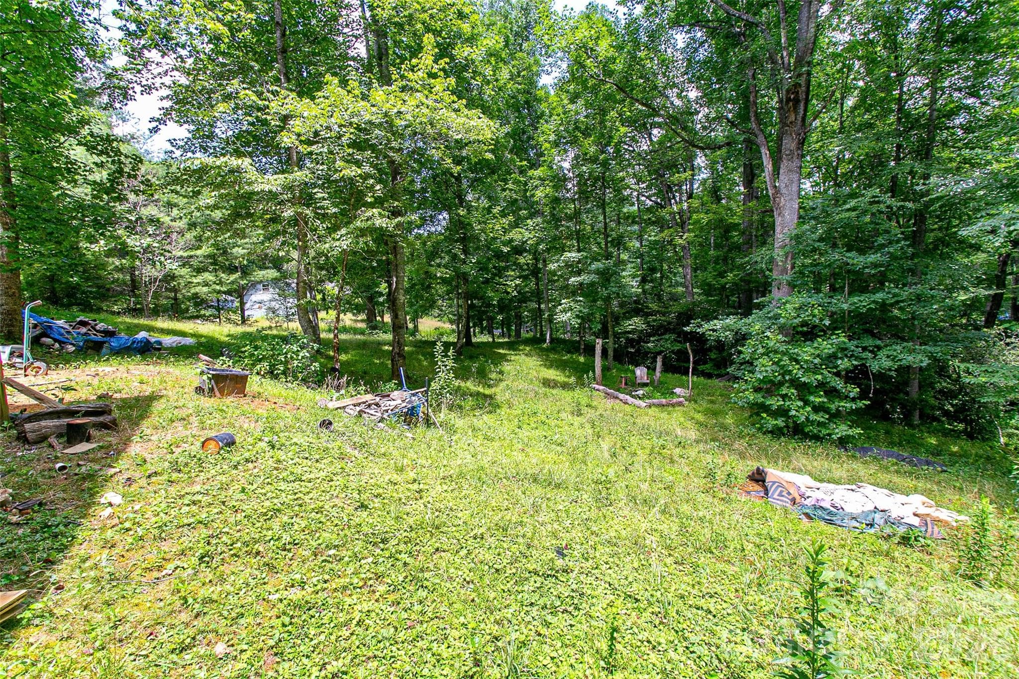 Single Family Residence at 164 Horseplay Lane, Lake Toxaway, photo 4 of 14