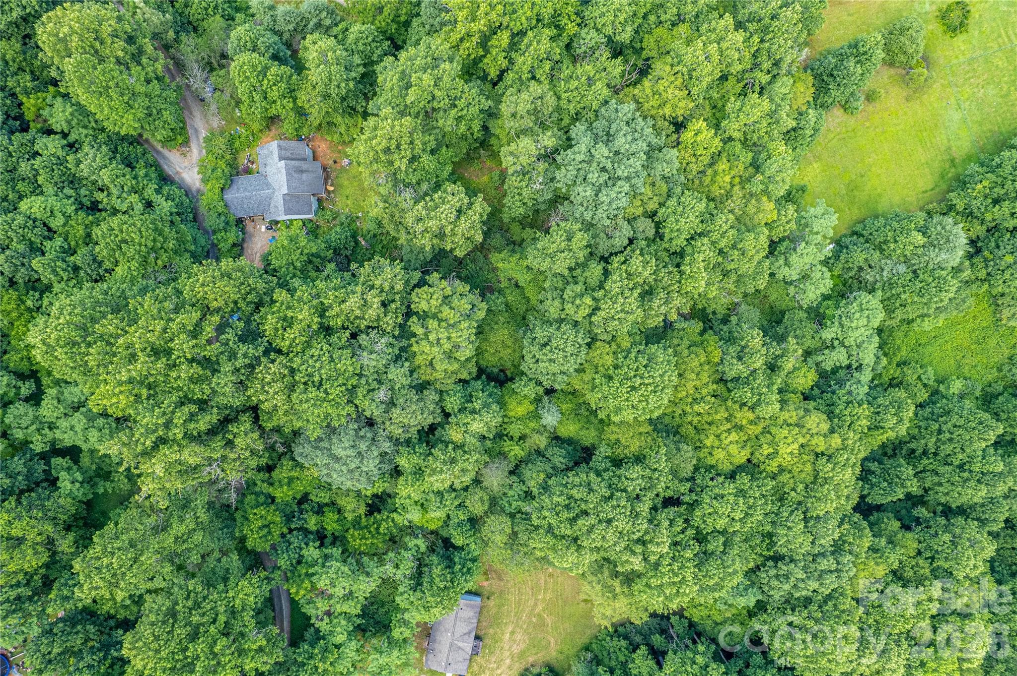 Single Family Residence at 164 Horseplay Lane, Lake Toxaway, photo 6 of 14