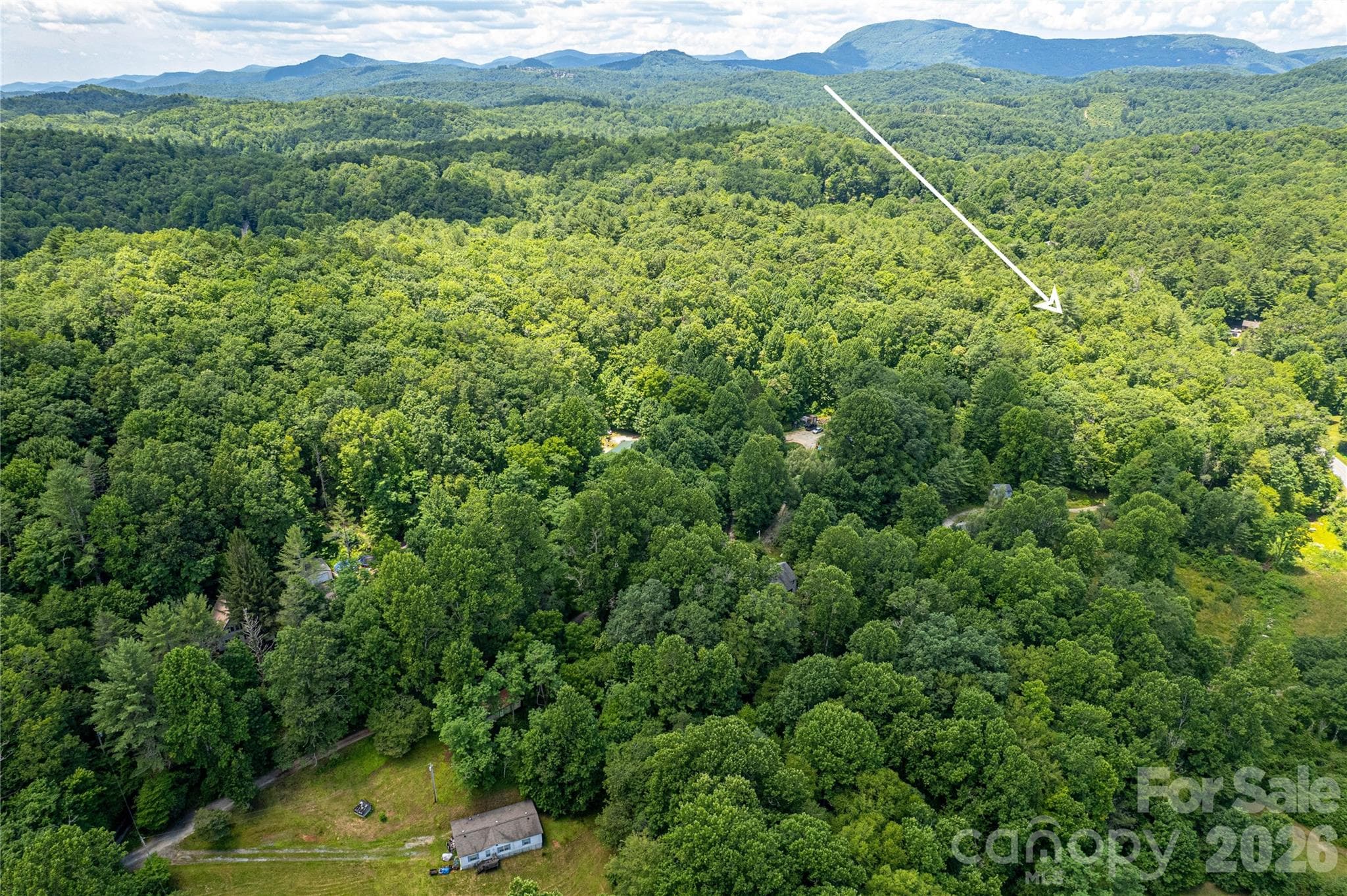 Single Family Residence at 164 Horseplay Lane, Lake Toxaway, photo 9 of 14