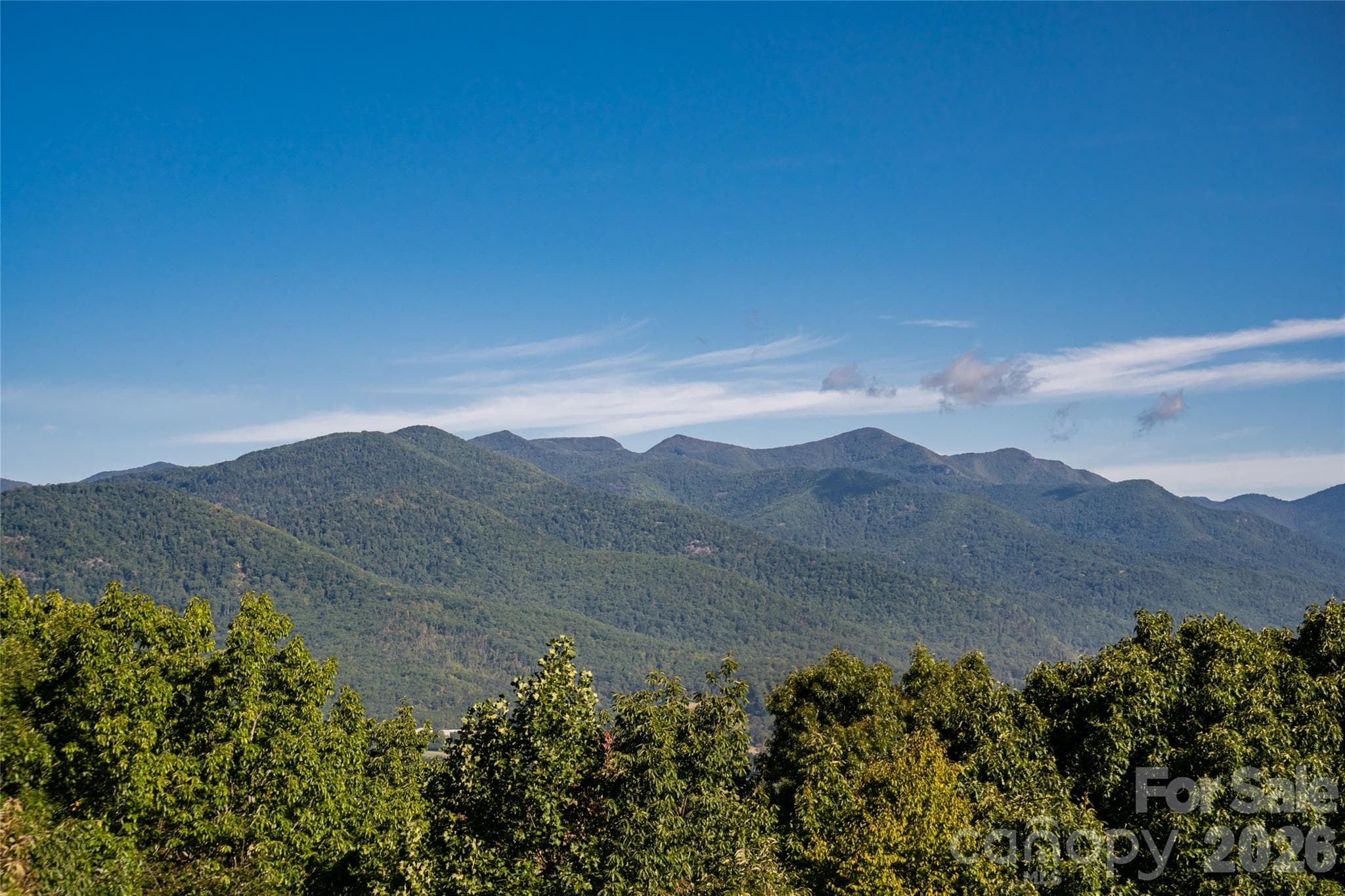 Single Family Residence at 126 Wildflower Cove Drive, Swannanoa, photo 5 of 48