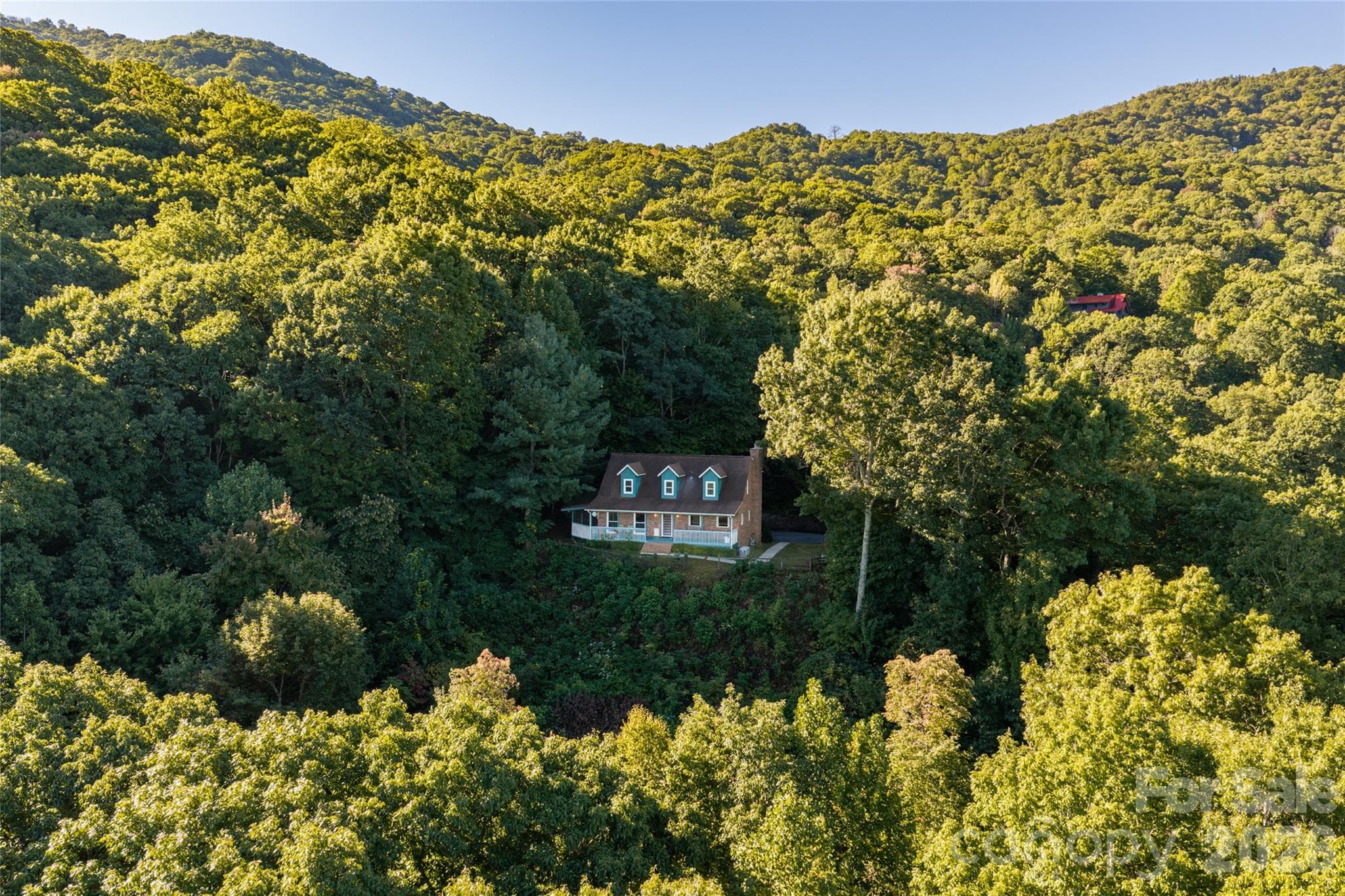 Private and serene mountainside setting - 126 Wildflower Cove Drive, Swannanoa