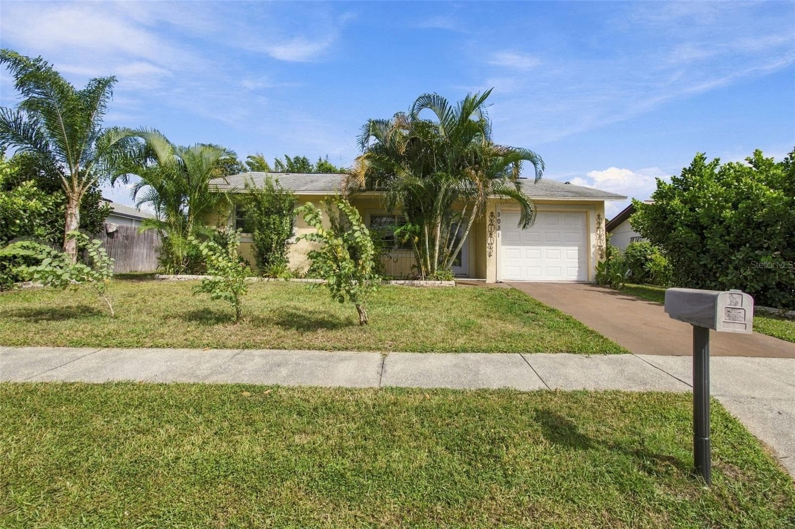 Single Family Residence at 3031 MUIR ST, HOLIDAY, photo 53 of 53