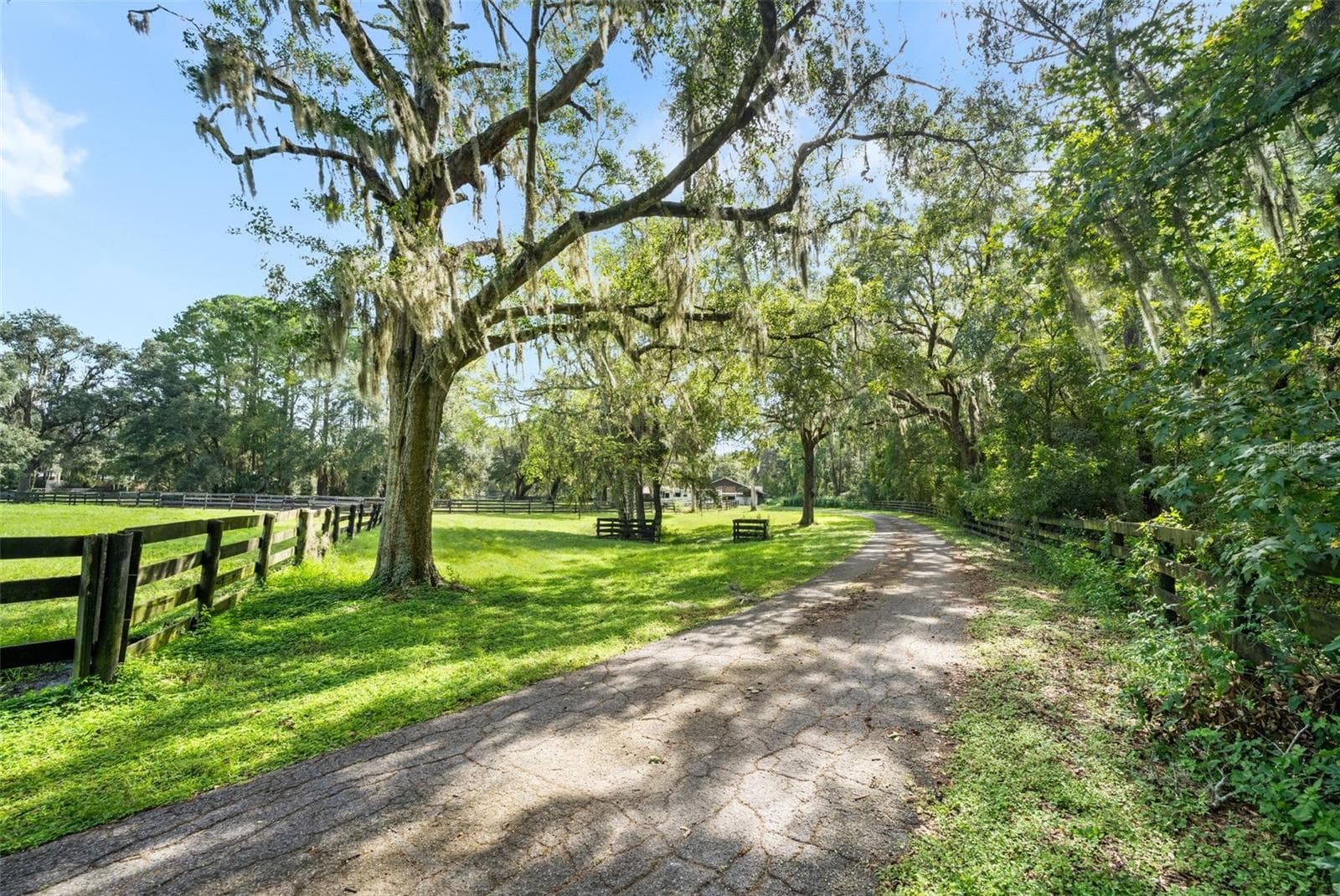 Farm at 4615 NW 110TH AVE, OCALA, photo 56 of 97