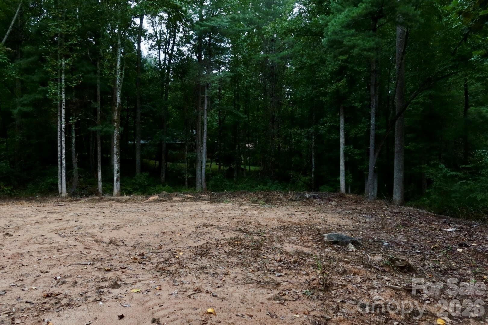 Lot at 180 Cinnamon Way, Flat Rock, photo 15 of 21