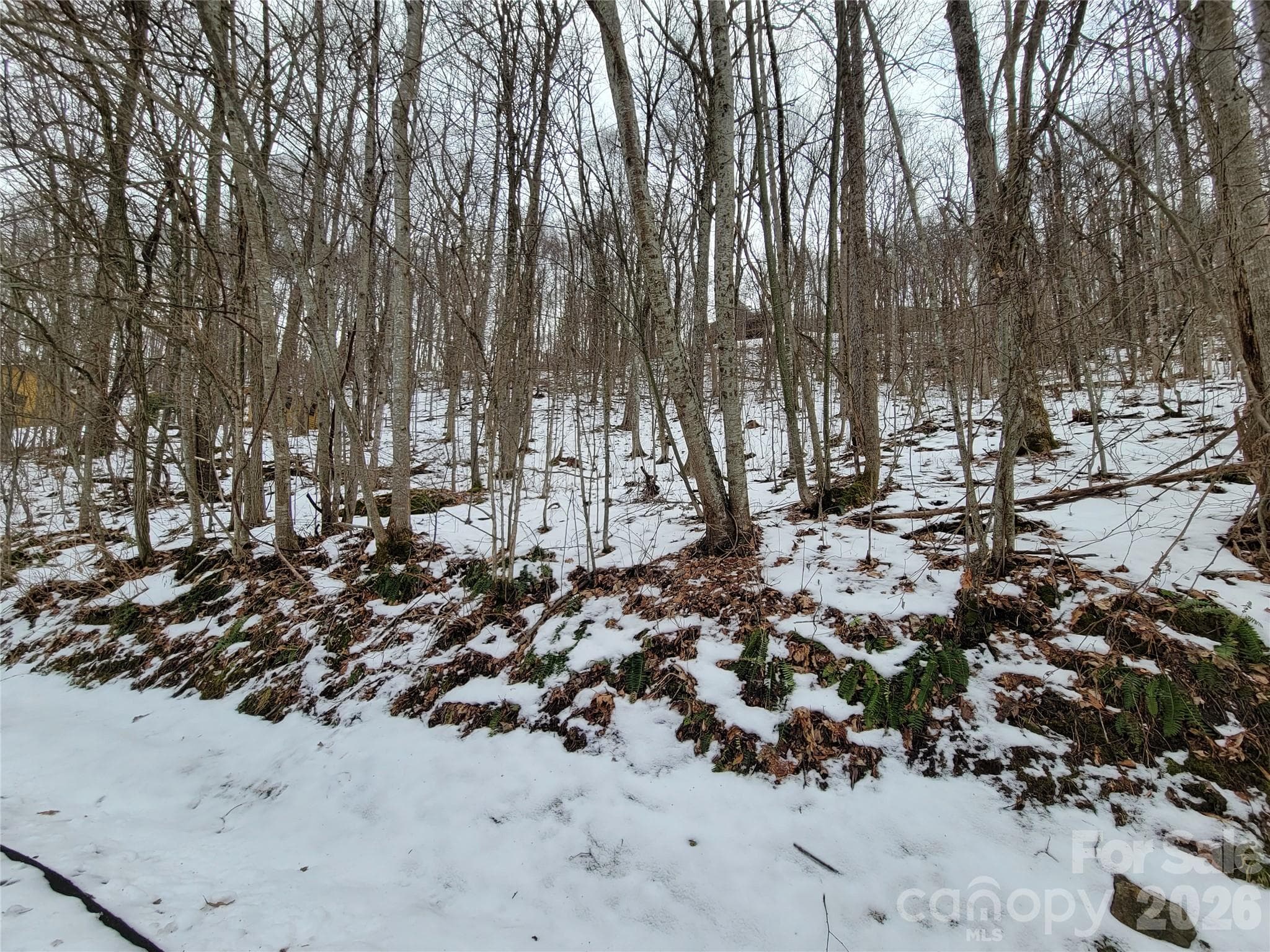 Lot at 200 Village Lane, Waynesville, photo 14 of 29