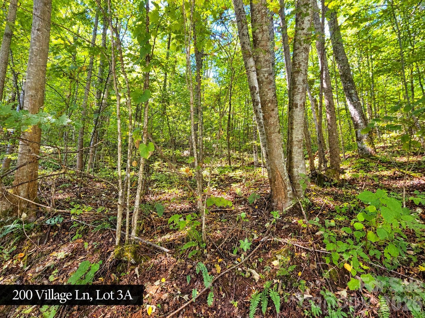 Lot at 200 Village Lane, Waynesville, photo 20 of 29
