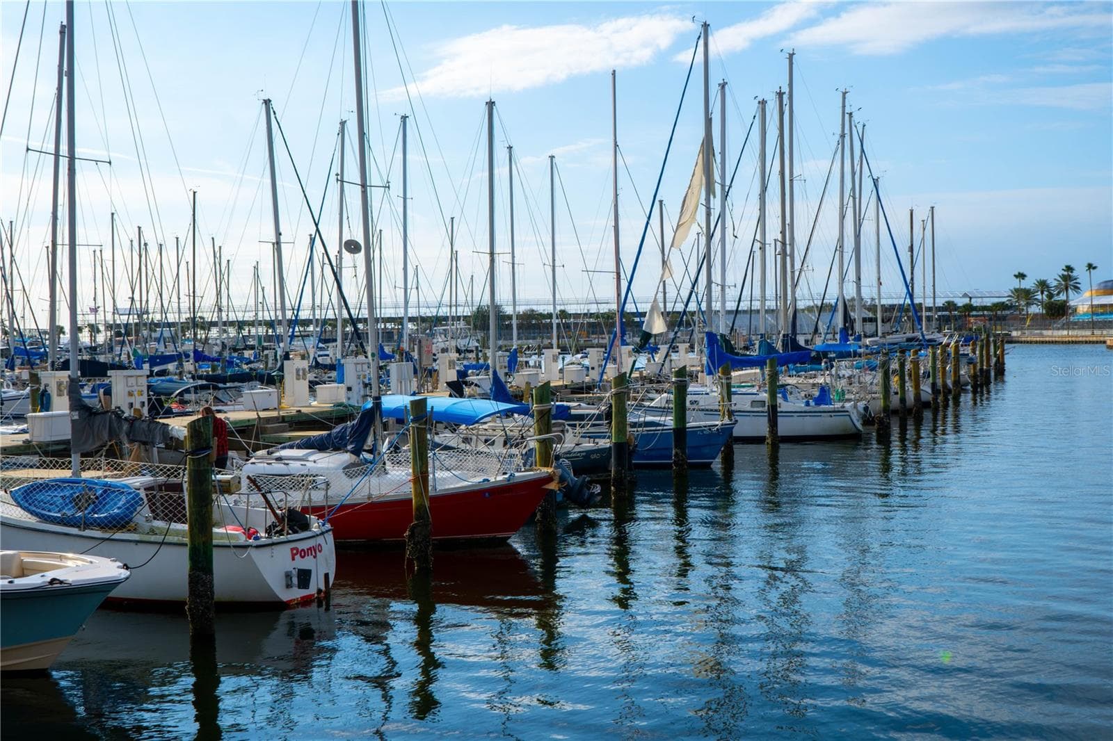 Condominium at 100 4TH AVE S #307, ST PETERSBURG, photo 30 of 45