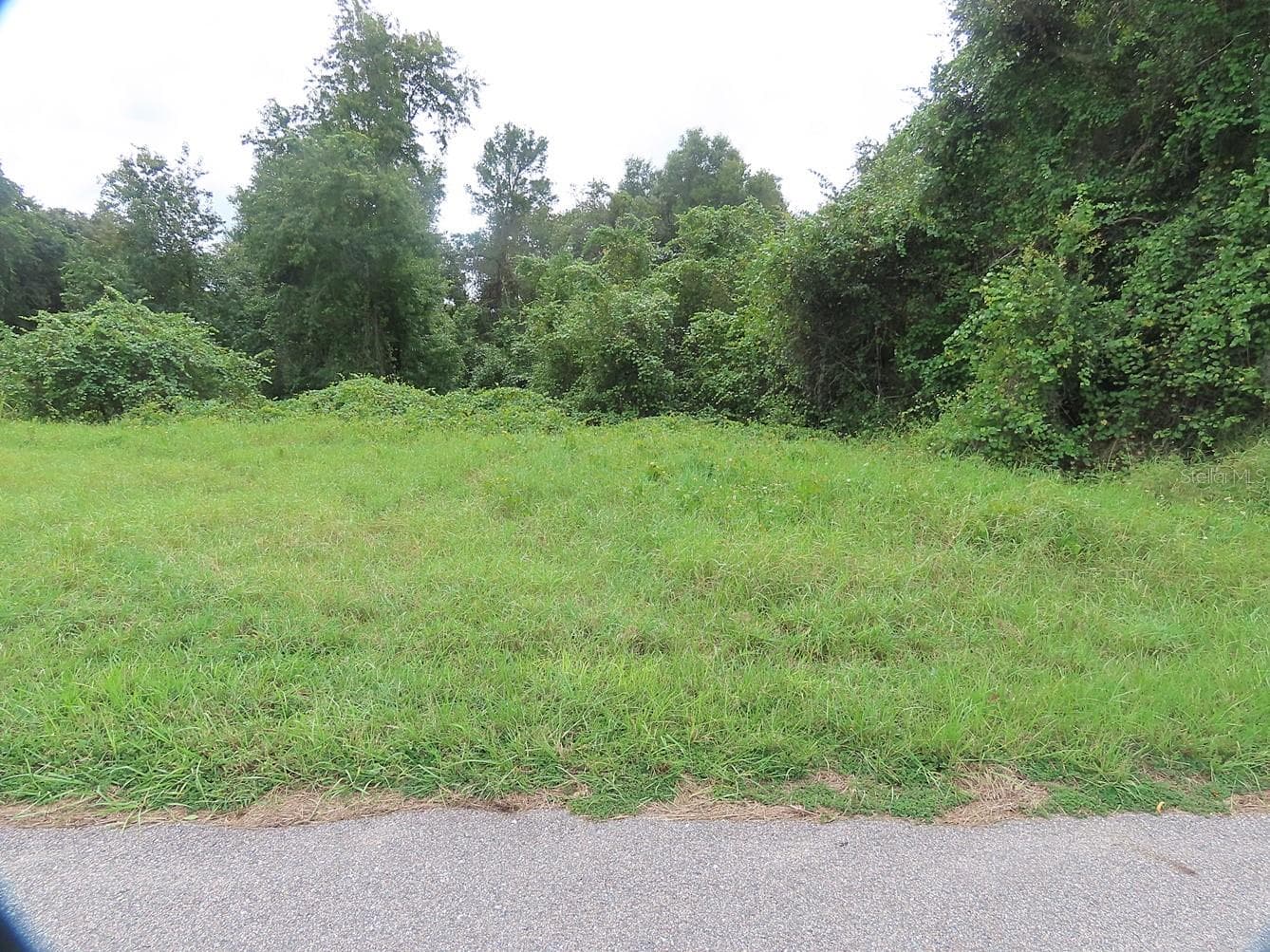 Land at 17701 SEIDNER RD, WINTER GARDEN, photo 3 of 39