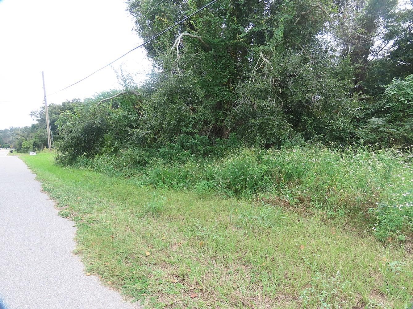 Land at 17701 SEIDNER RD, WINTER GARDEN, photo 5 of 39