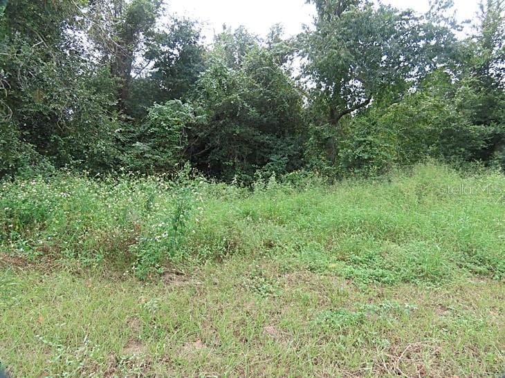 Land at 17701 SEIDNER RD, WINTER GARDEN, photo 7 of 39