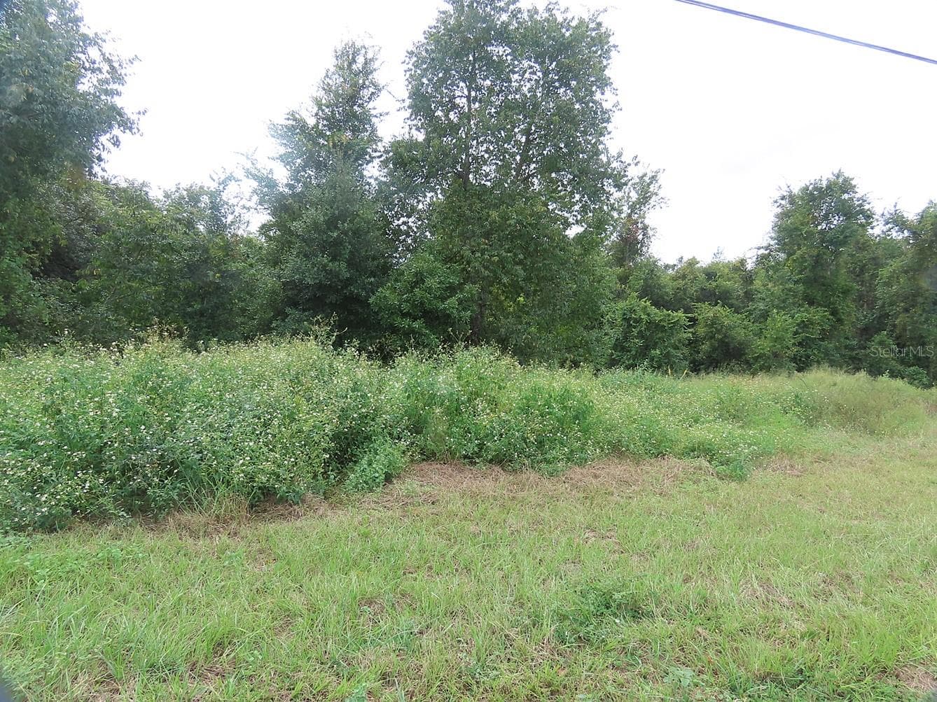 Land at 17701 SEIDNER RD, WINTER GARDEN, photo 9 of 39