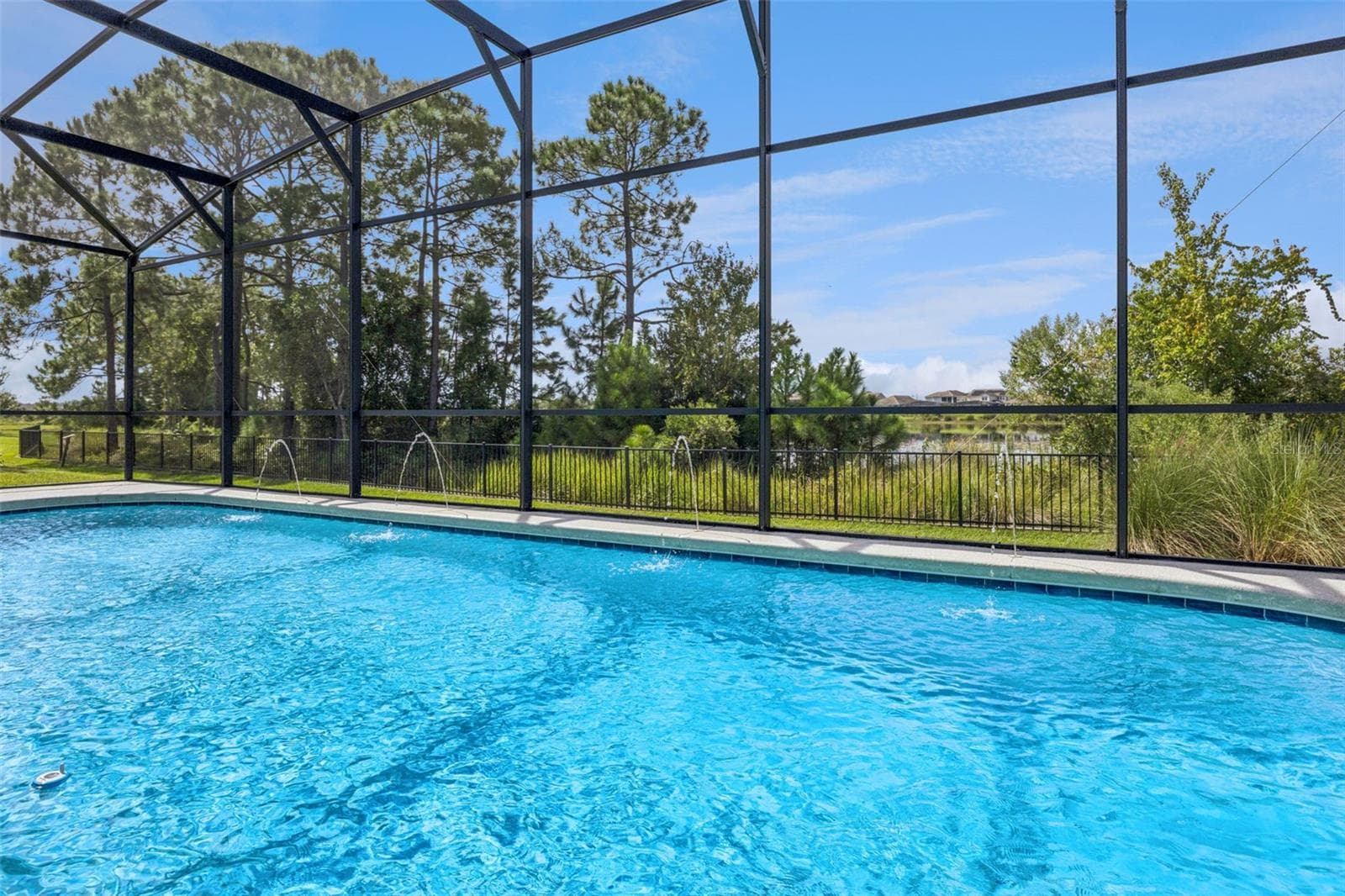 Over 30 Acres of Lake and Wetlands! - 10048 BEACH PORT DR, WINTER GARDEN