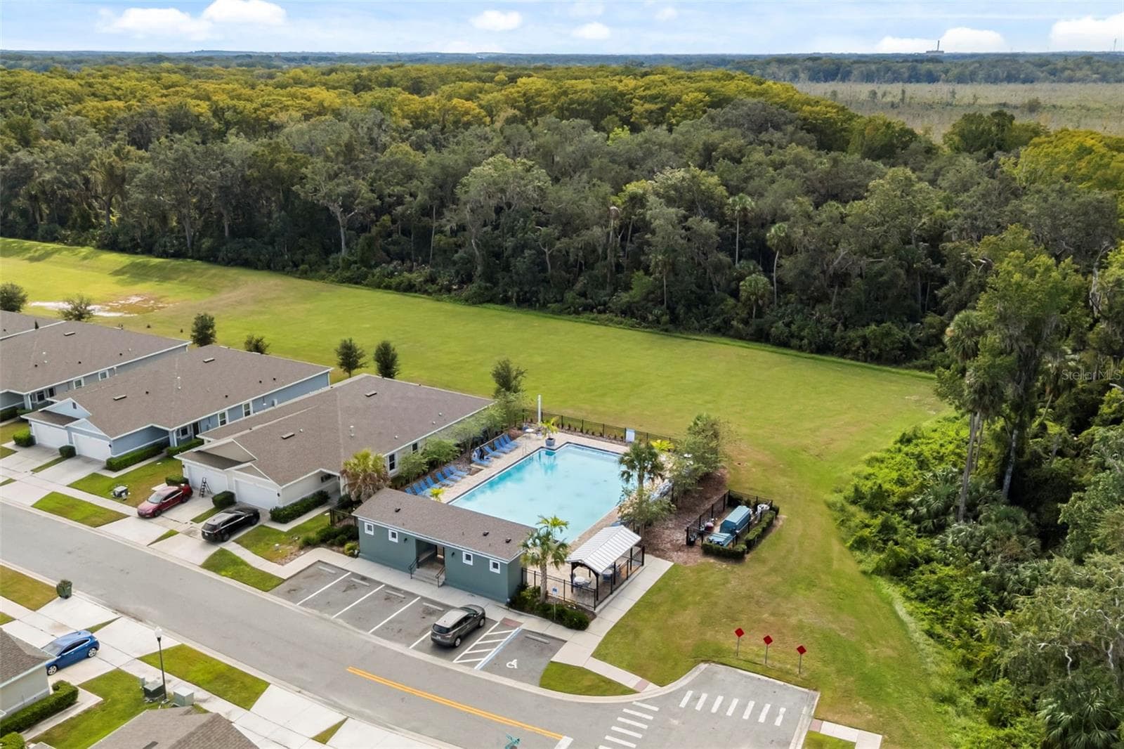 Aerial view of the community pool and surrounding recreation area. - 3658 CASPIAN ST, LEESBURG