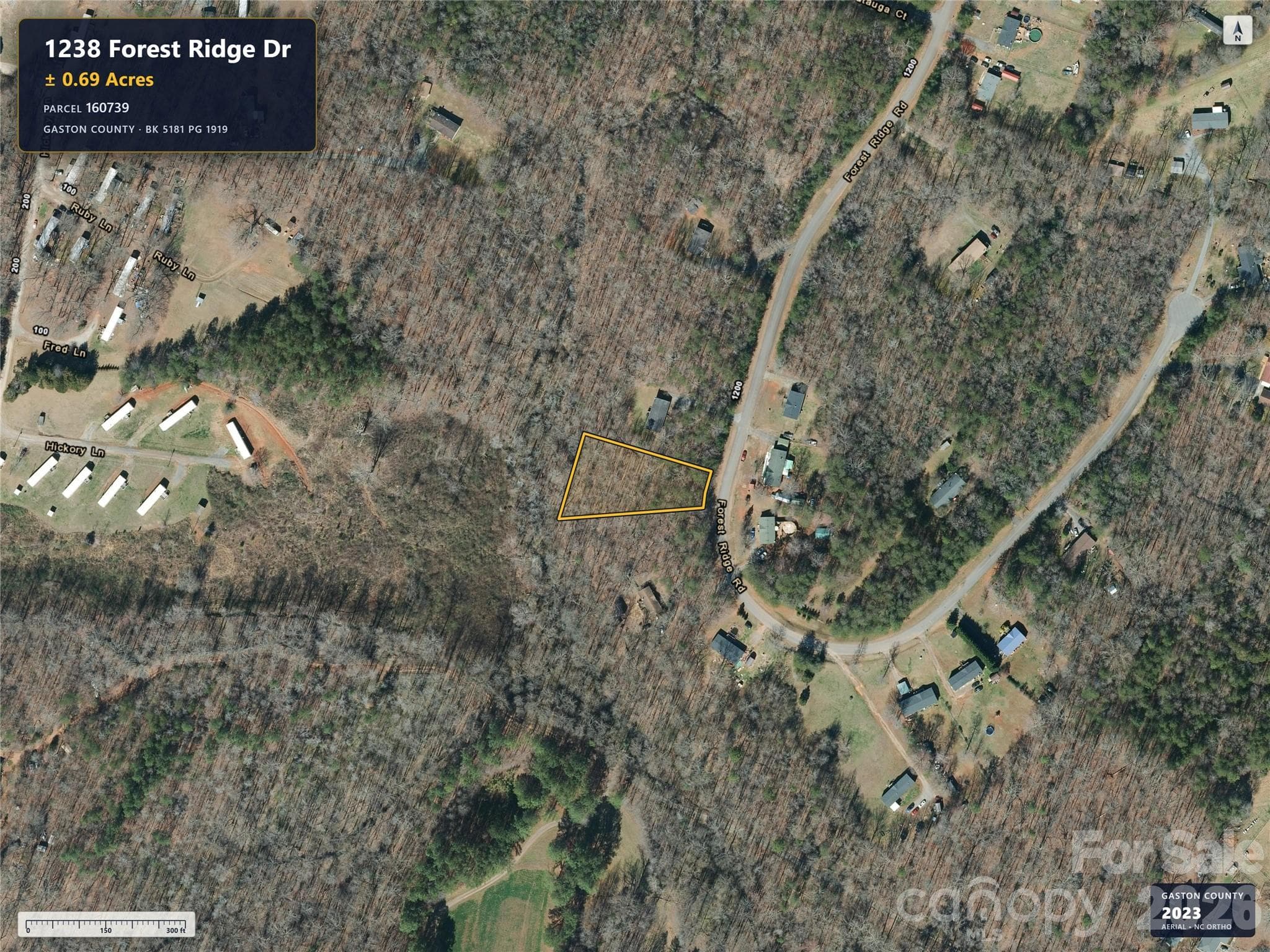 Lot at 1238 Forest Ridge Drive, Bessemer City, photo 3 of 5
