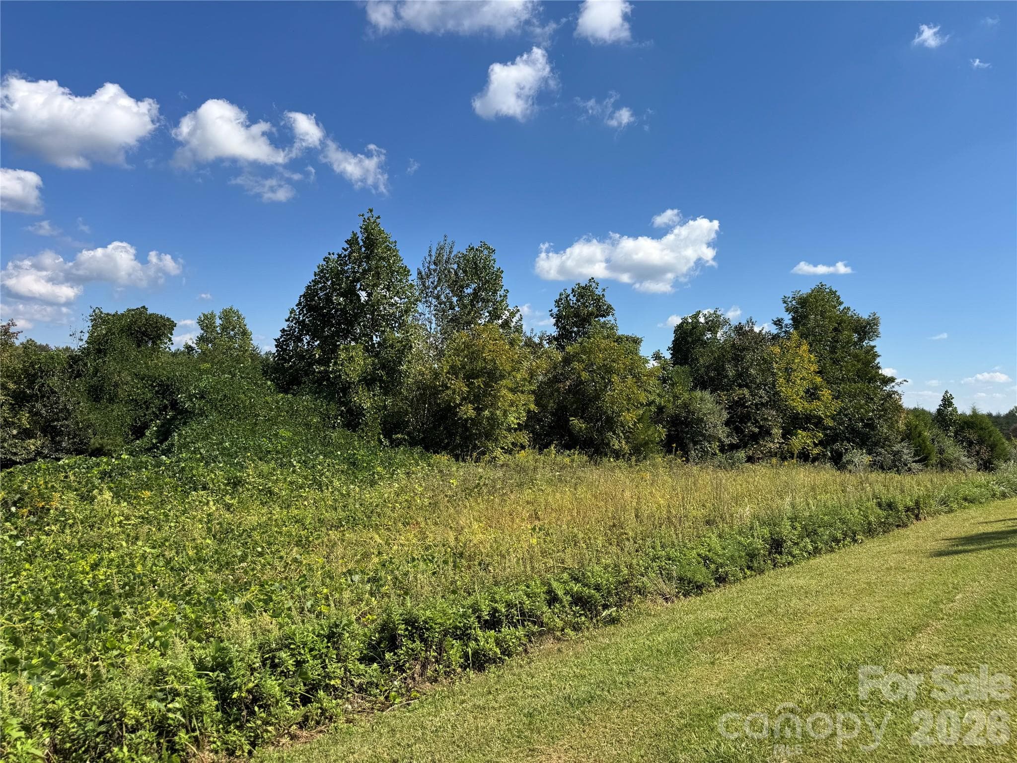 Acreage at 0 Freemantown Road, Lake Lure, photo 11 of 20