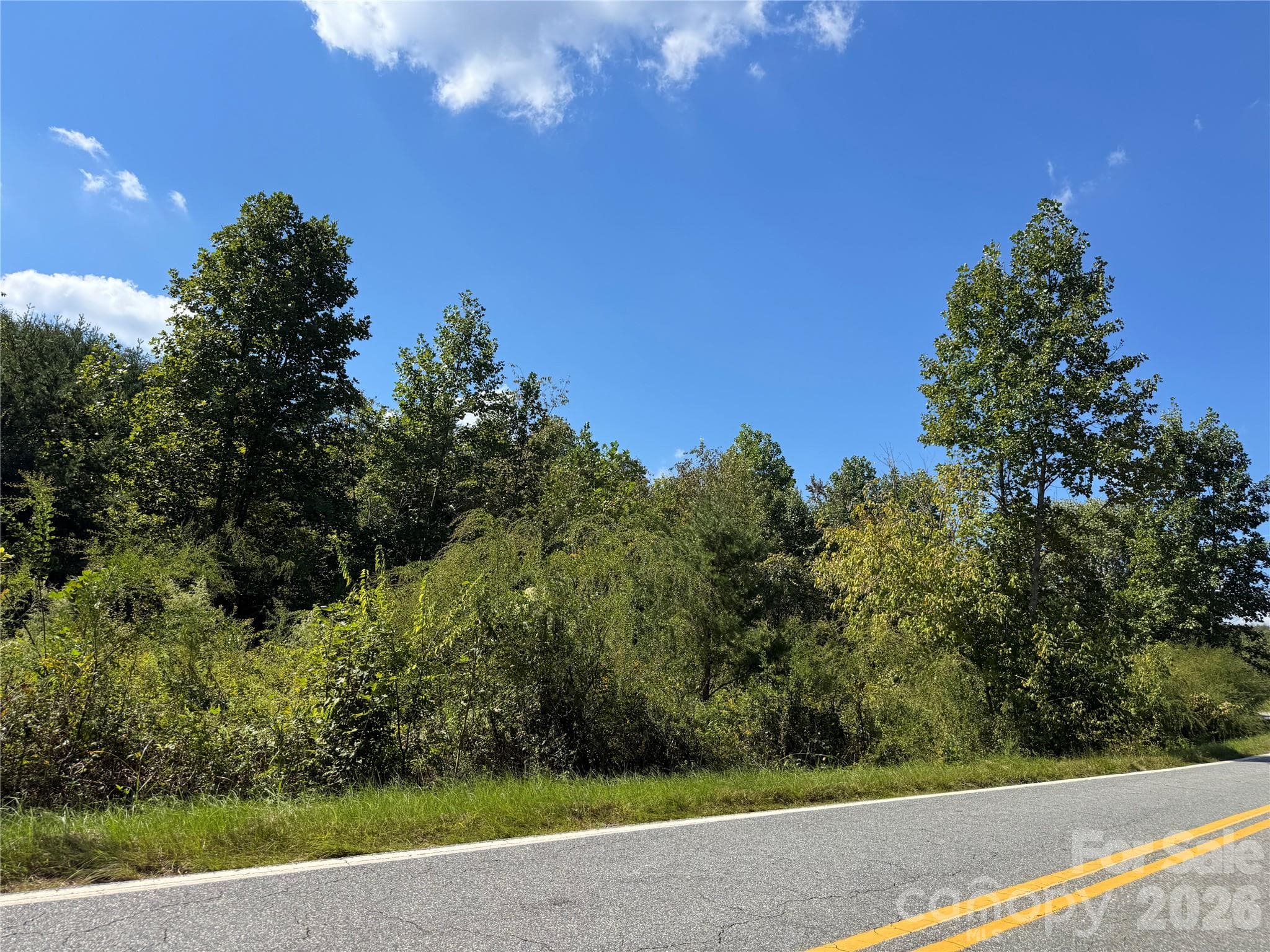 Acreage at 0 Freemantown Road, Lake Lure, photo 12 of 20